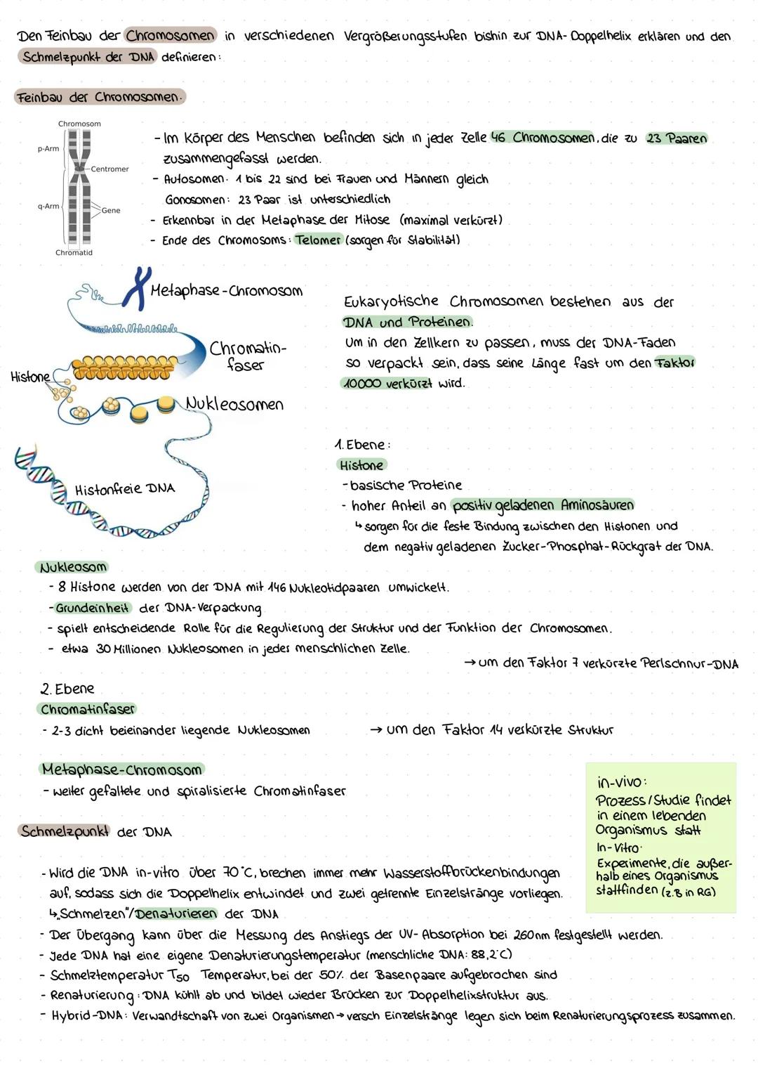 Lernzettel 1. Klausur Q1
Zellkern & Genetik Grundlagen
Bedeutung des Zellkerns anhand eines Transplantationsversuches verdeutlichen.
Acet