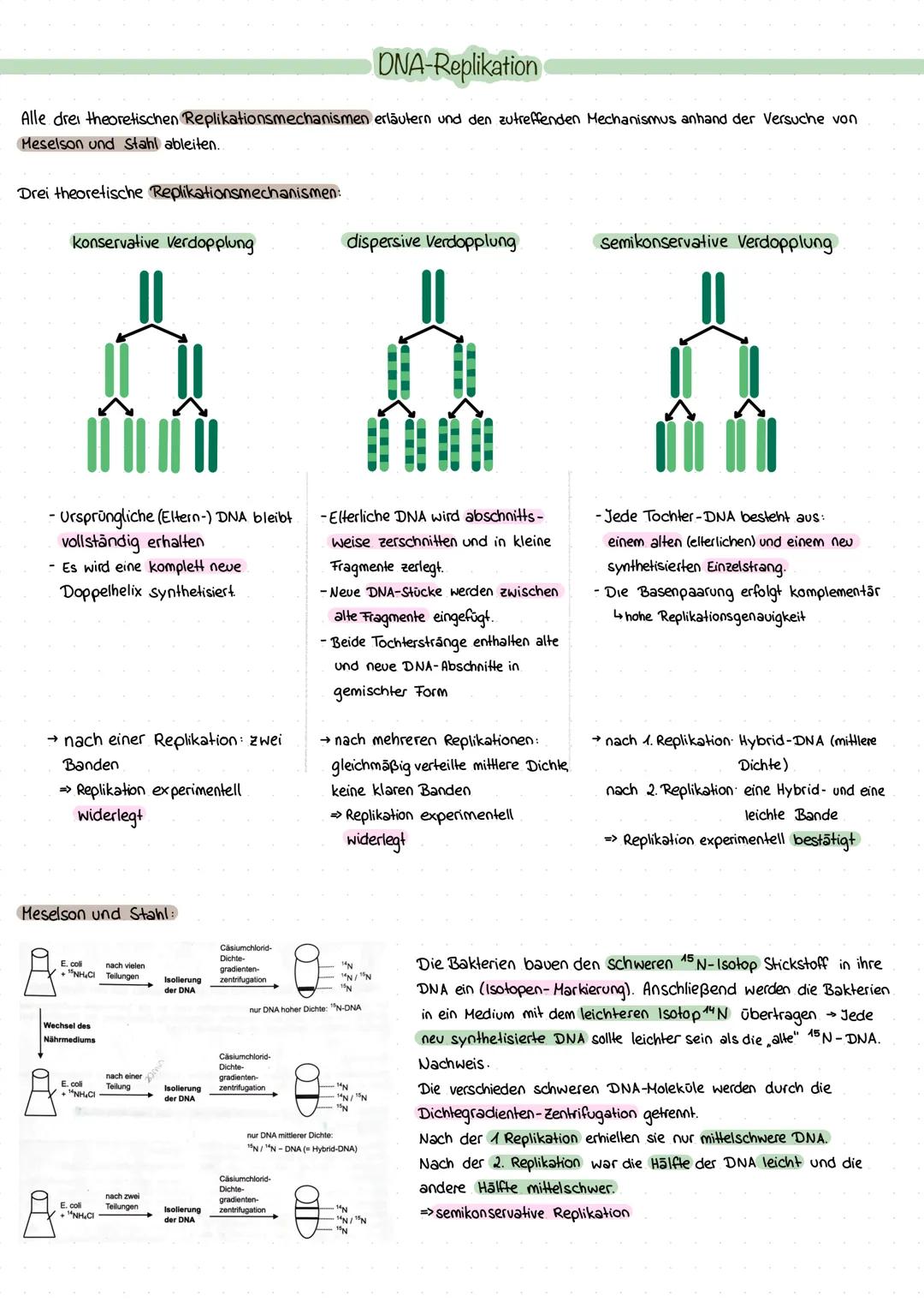 Lernzettel 1. Klausur Q1
Zellkern & Genetik Grundlagen
Bedeutung des Zellkerns anhand eines Transplantationsversuches verdeutlichen.
Acet