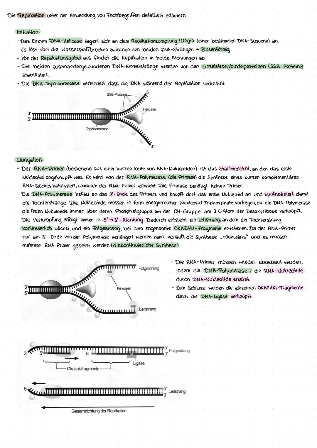 Lernzettel 1. Klausur Q1
Zellkern & Genetik Grundlagen
Bedeutung des Zellkerns anhand eines Transplantationsversuches verdeutlichen.
Acet