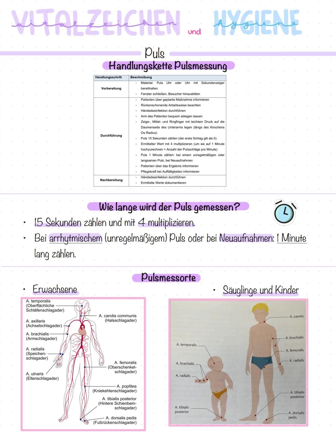 # VITALZEICHEN und HYGIENE
Puls
## Handlungskette Pulsmessung
| Handlungsschritt | Beschreibung |
| --- | --- |
| Vorbereitung | - Materi
