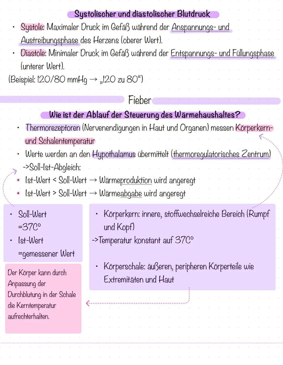# VITALZEICHEN und HYGIENE
Puls
## Handlungskette Pulsmessung
| Handlungsschritt | Beschreibung |
| --- | --- |
| Vorbereitung | - Materi
