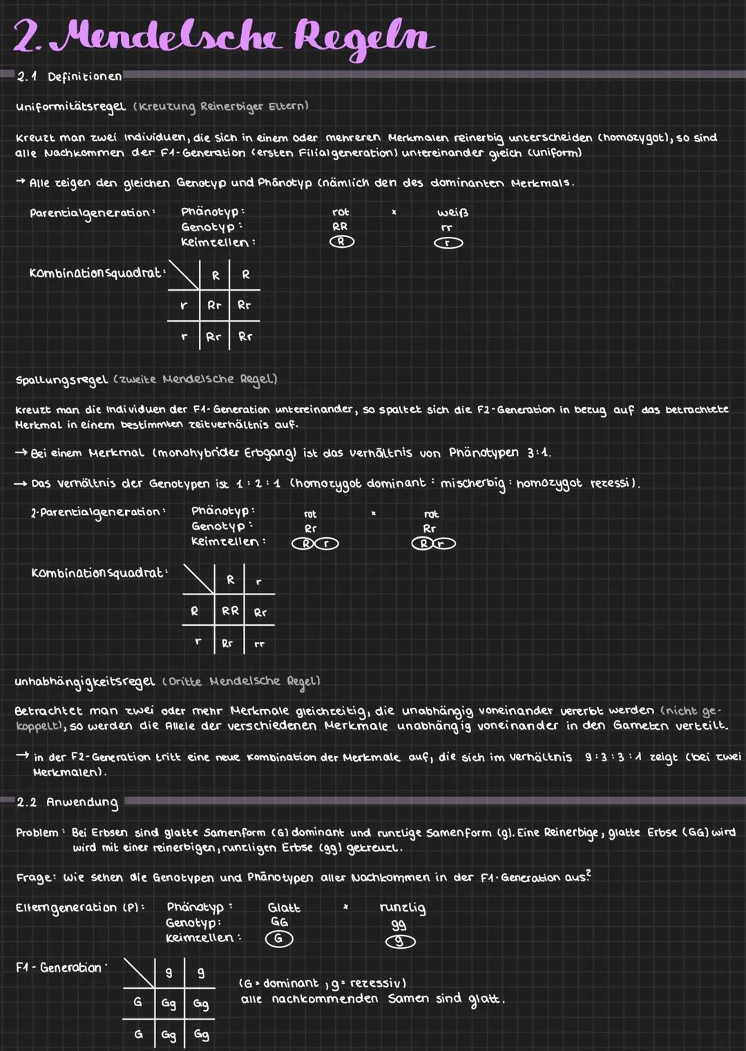 # Schwerpunktc LK Genetik
1. Begriffe der Genetik
2. Mendelsche Regeln
2.4 Definitionen/Erklärung der 1., 2. & 3. Regel
2.2 Anwendung de