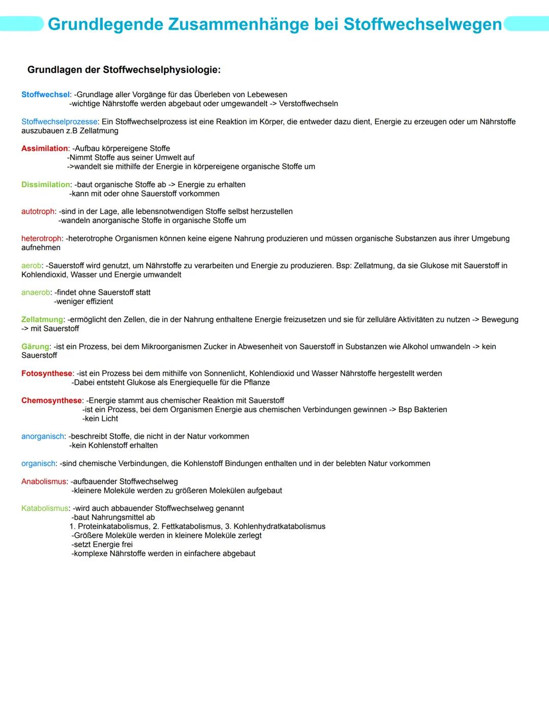 # Bio GK
# Stoffwechselphysiologie
## Abitur 2025 - Lernzettel
abitur.nrw
Vorgaben 2025
Biologie
# Grundkurs
Neurobiologie
Grundlage