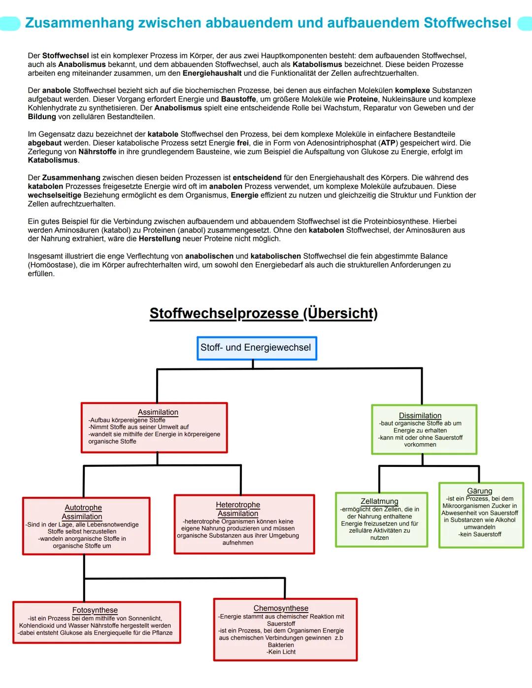 # Bio GK
# Stoffwechselphysiologie
## Abitur 2025 - Lernzettel
abitur.nrw
Vorgaben 2025
Biologie
# Grundkurs
Neurobiologie
Grundlage