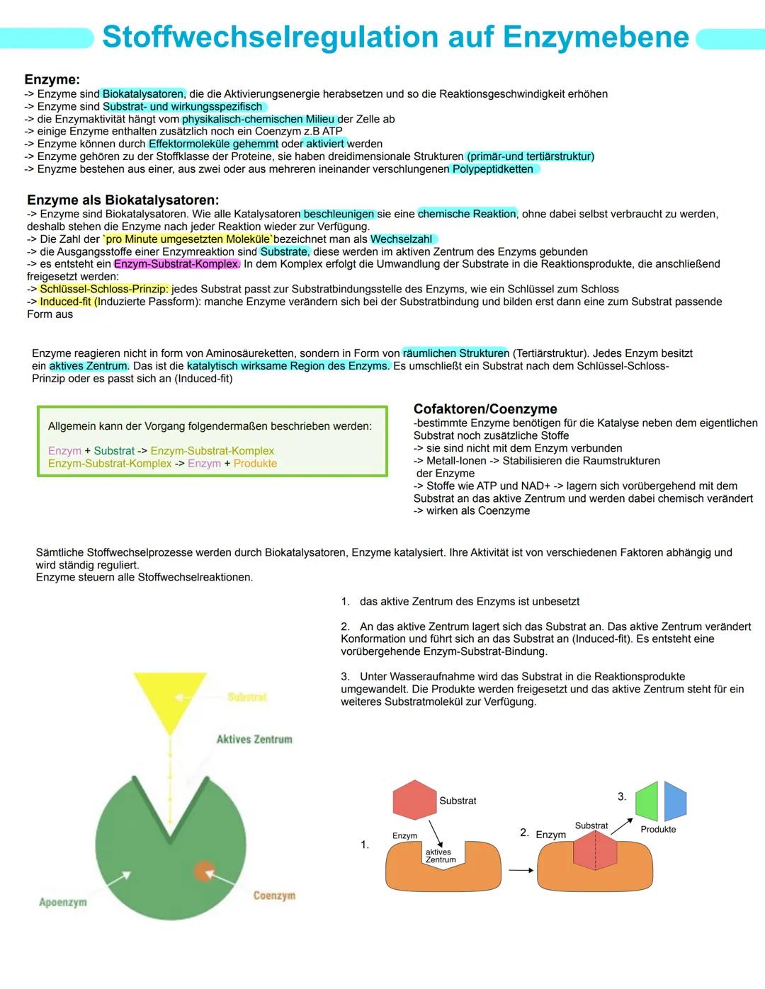 # Bio GK
# Stoffwechselphysiologie
## Abitur 2025 - Lernzettel
abitur.nrw
Vorgaben 2025
Biologie
# Grundkurs
Neurobiologie
Grundlage