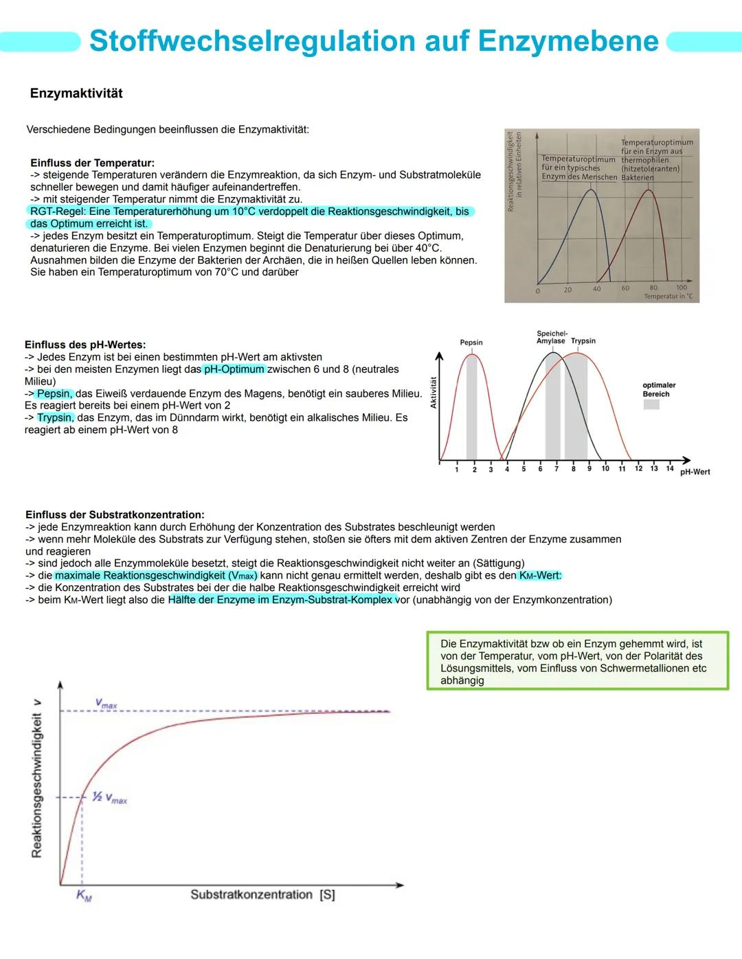 # Bio GK
# Stoffwechselphysiologie
## Abitur 2025 - Lernzettel
abitur.nrw
Vorgaben 2025
Biologie
# Grundkurs
Neurobiologie
Grundlage