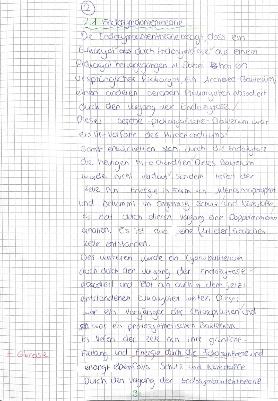 1. Klausur (90 Min.) / 1. HJ
Kurs: Bio GK EF
Name: Viola Miller
Aufgabe 1: Struktur und Funktion spezialisierter Zellen
Aufgaben:
1.1 Ordn