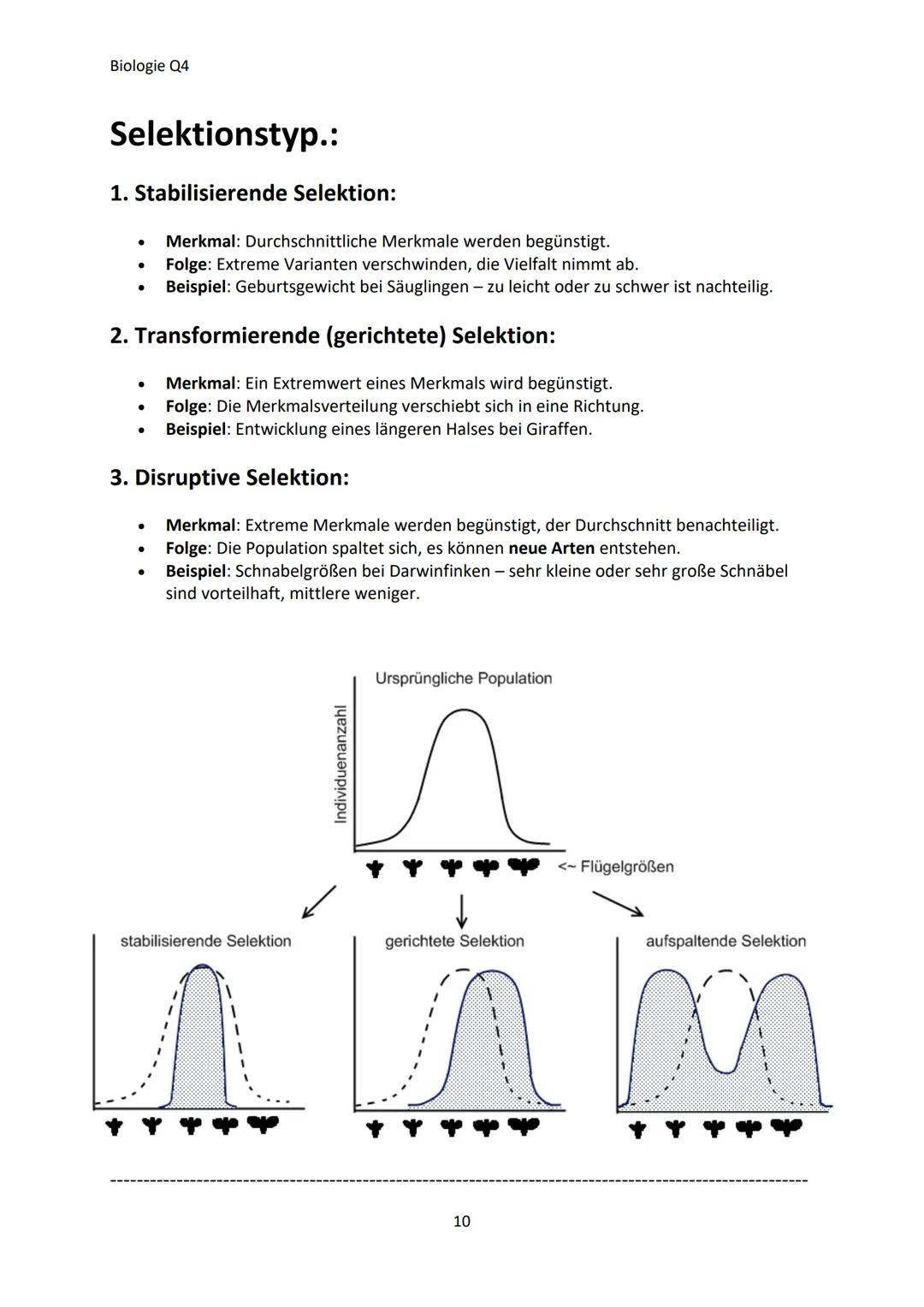 Biologie Q4
Inhaltsangabe
- Evolutionstheorien............................................................................................