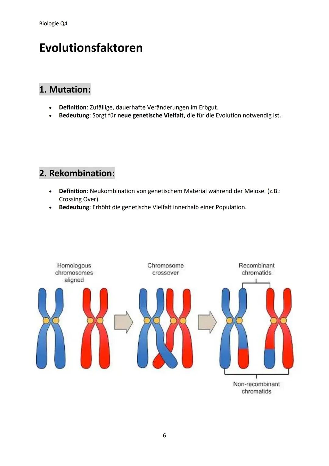 Biologie Q4
Inhaltsangabe
- Evolutionstheorien............................................................................................