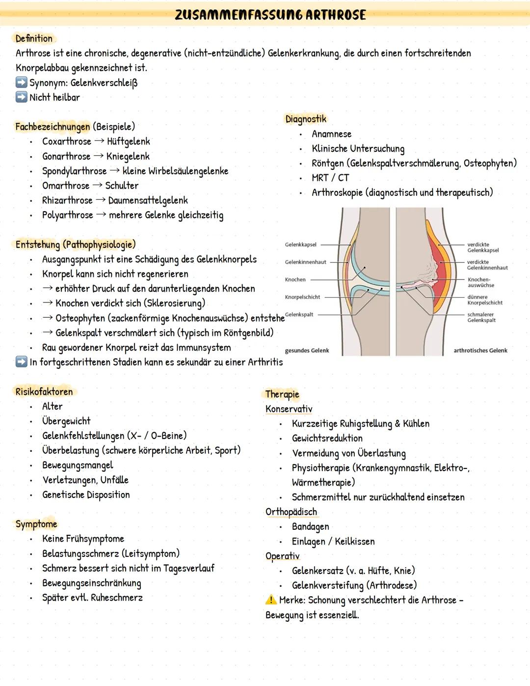 # ZUSAMMENFASSUNG ARTHROSE
Definition
Arthrose ist eine chronische, degenerative (nicht-entzündliche) Gelenkerkrankung, die durch einen fo