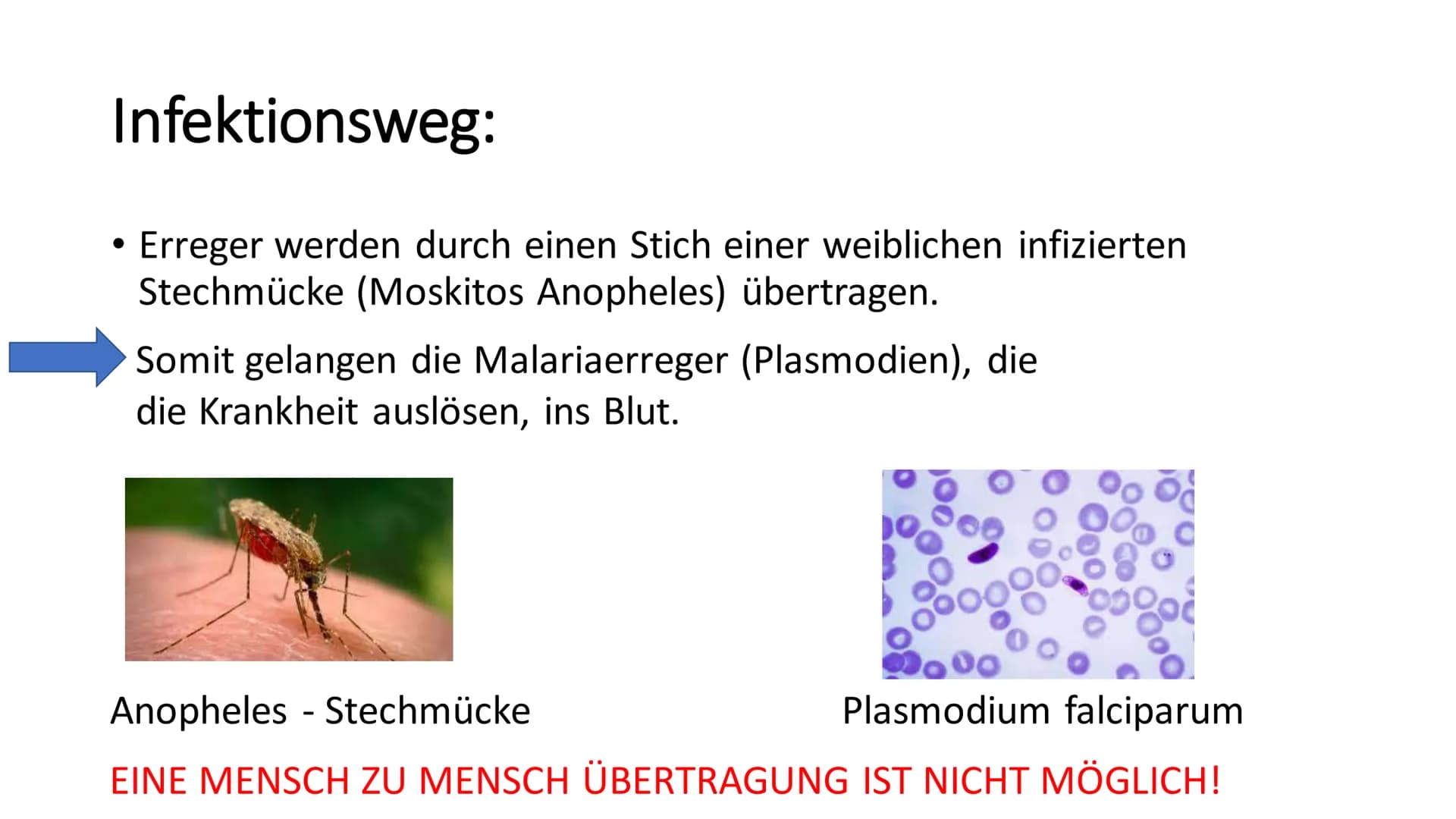 Malaria
Präsentation von
Romina Boketta # Inhaltsverzeichnis
* Entdecker Malarias
* Hystorisches
* Erregertypen
* Infektionsweg
* Inkubation