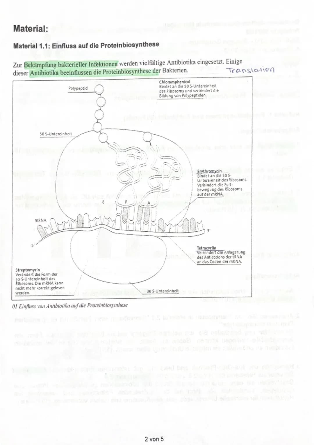 Bearbeitungszeit: 135 Minuten
Hilfsmittel: Deutsches Wörterbuch
# Thema: Genetik - Proteinbiosynthese & Stammbaumanalysen
## Aufgabe 1: Pr