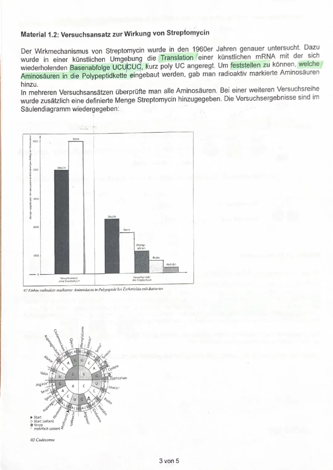 Bearbeitungszeit: 135 Minuten
Hilfsmittel: Deutsches Wörterbuch
# Thema: Genetik - Proteinbiosynthese & Stammbaumanalysen
## Aufgabe 1: Pr