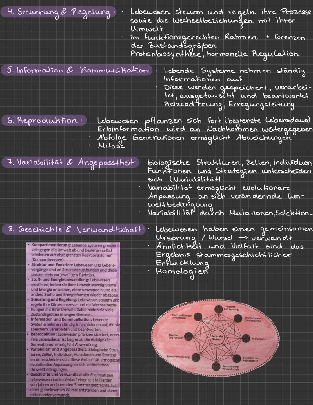 <h2>Systemebenen & Basiskonzepte</h2>
<p>Die Biologie untersucht das Leben auf verschiedenen Systemebenen, beginnend bei den Molekülen,
