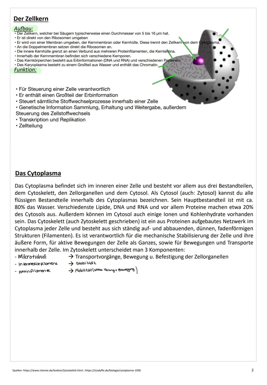 ZELL
BIO
LOGIE # Zellbiologie
## Die Zelle
Eine Zelle (lateinisch cellula ,kleine Kammer, Zelle') ist die kleinste lebende Einheit aller Or