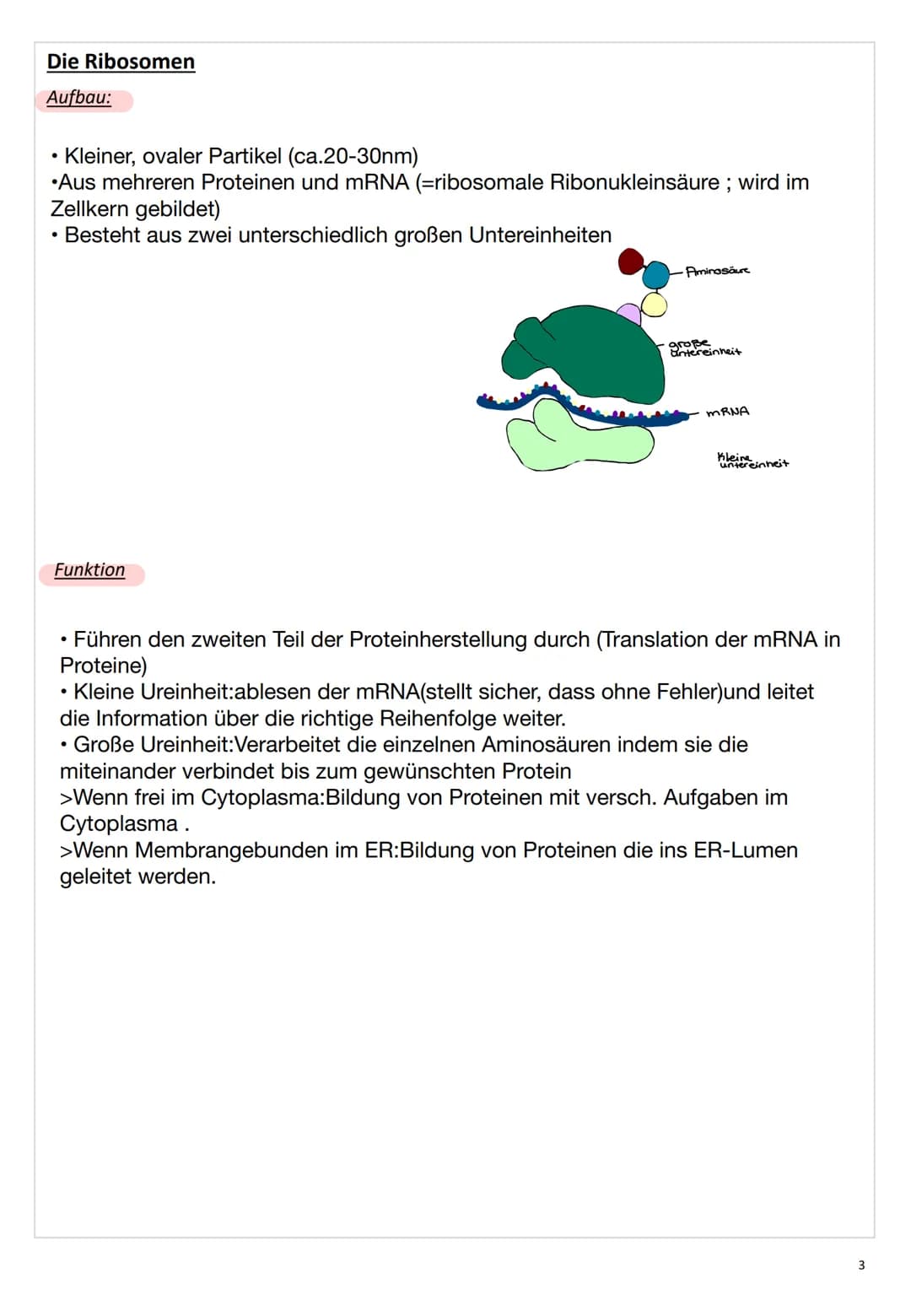 ZELL
BIO
LOGIE # Zellbiologie
## Die Zelle
Eine Zelle (lateinisch cellula ,kleine Kammer, Zelle') ist die kleinste lebende Einheit aller Or