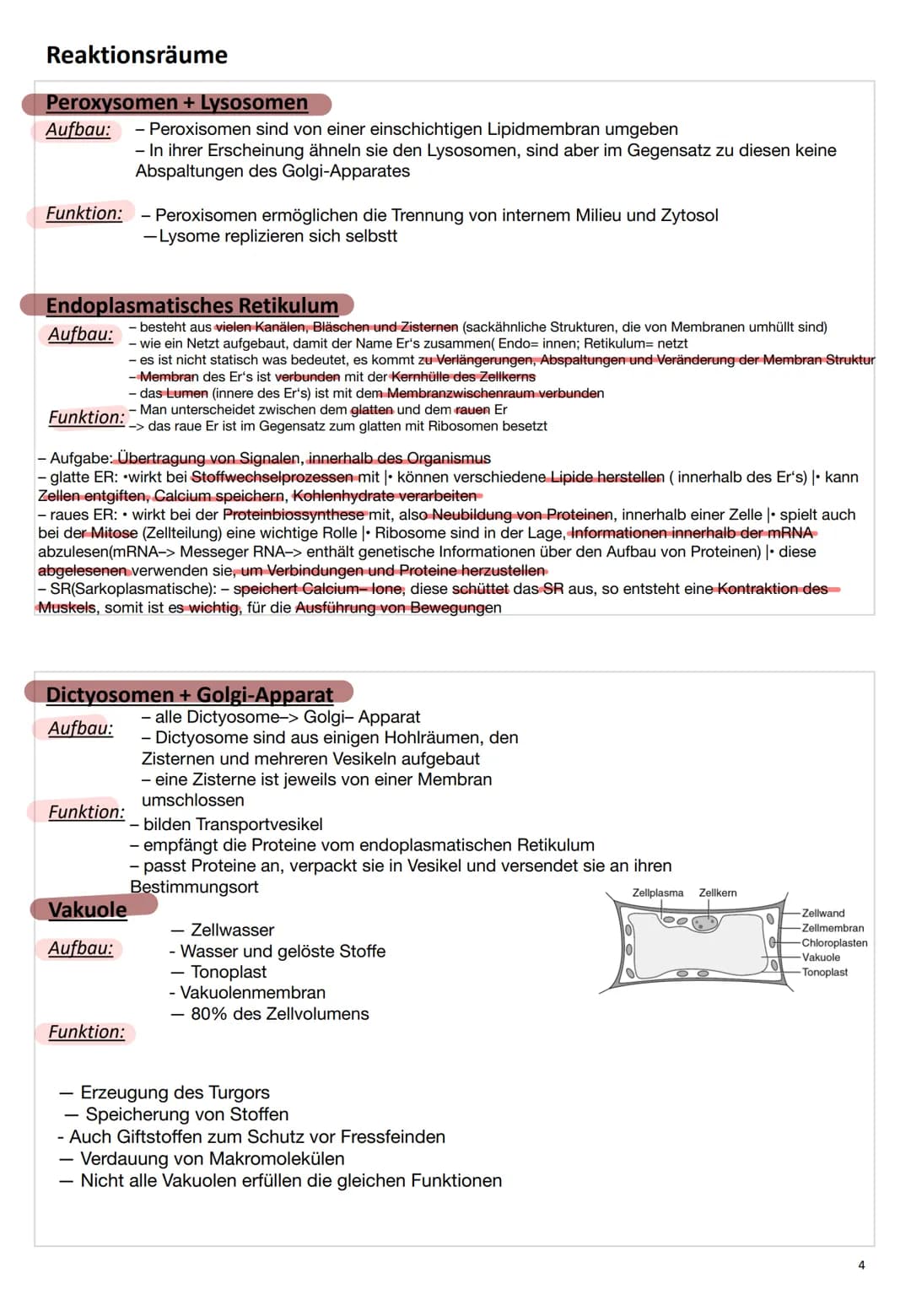 ZELL
BIO
LOGIE # Zellbiologie
## Die Zelle
Eine Zelle (lateinisch cellula ,kleine Kammer, Zelle') ist die kleinste lebende Einheit aller Or
