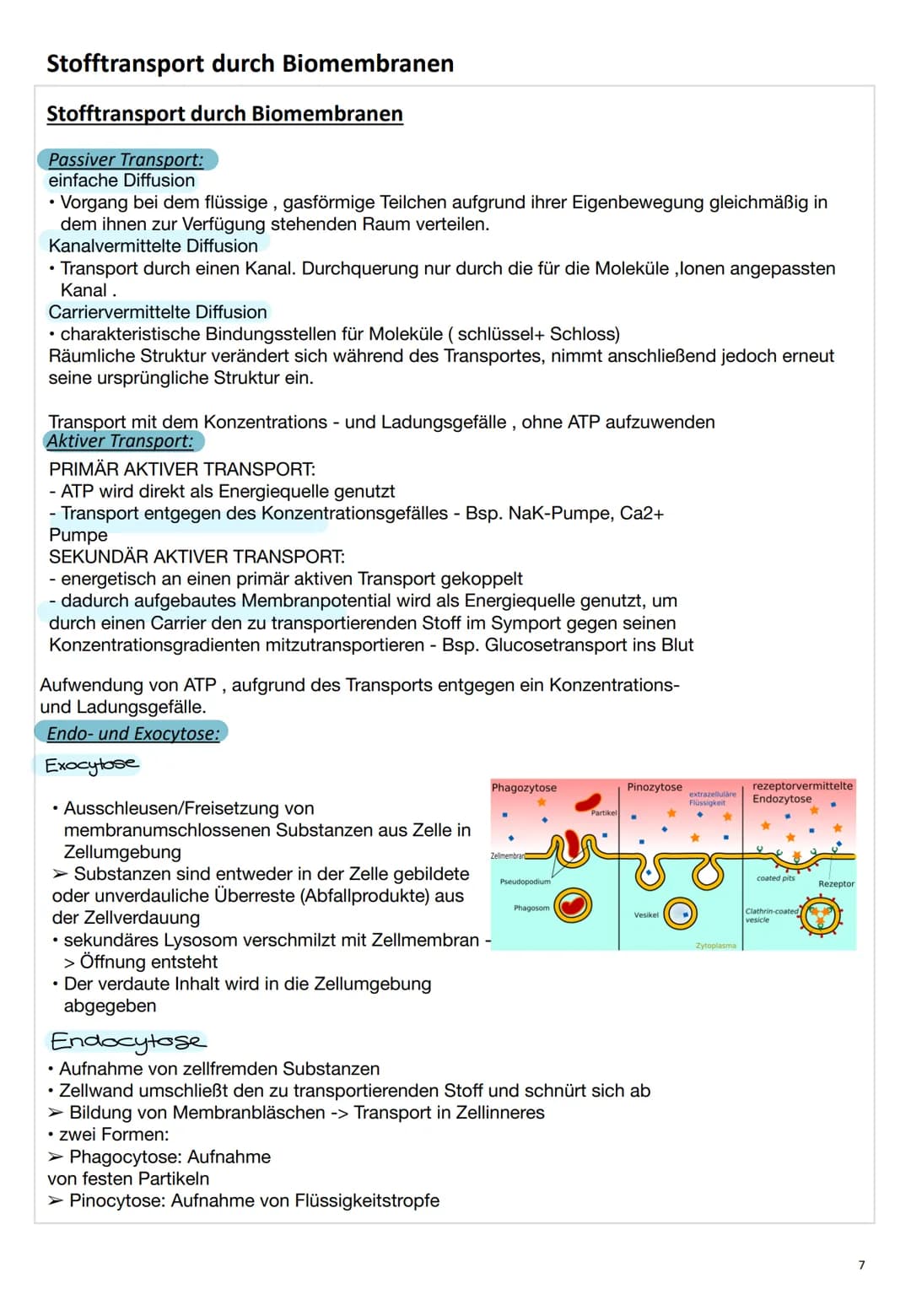 ZELL
BIO
LOGIE # Zellbiologie
## Die Zelle
Eine Zelle (lateinisch cellula ,kleine Kammer, Zelle') ist die kleinste lebende Einheit aller Or
