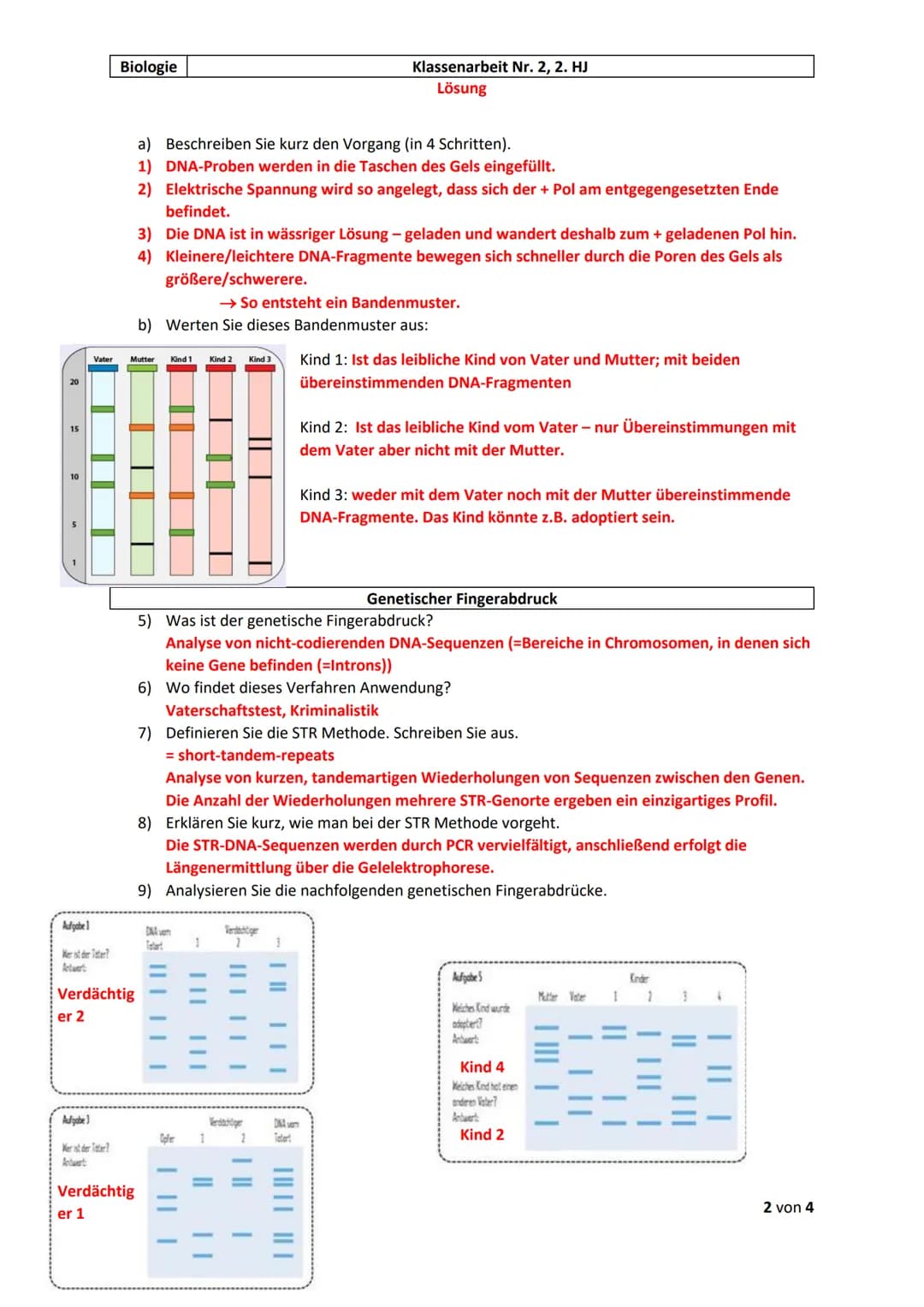 Biologie
Klassenarbeit Nr. 2, 2. HJ
Lösung
# PCR = Polymerase-Ketten-Reaktion
1) Nennen Sie den Zweck der PCR.
Vervielfältigung der DNA.