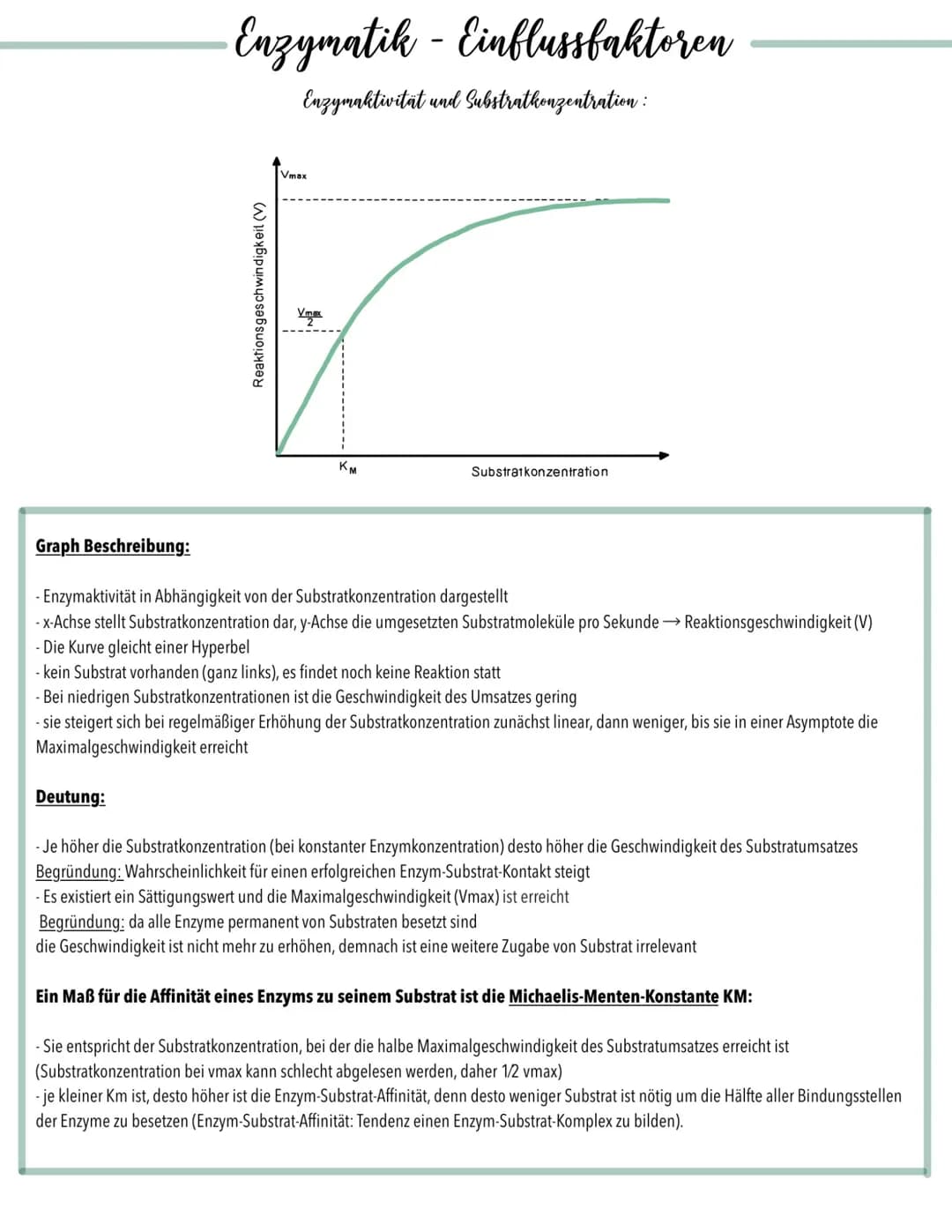 # Enzymatik - Einflussfaktoren
## Enzymaktivität und Substratkonzentration:
Reaktionsgeschwindigkeit (V)
$V_{max}$
$V_{max}/2$
$K_M$
Substra