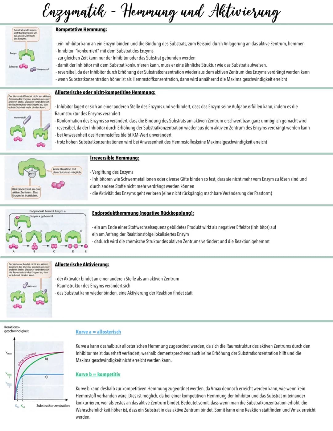 # Enzymatik - Einflussfaktoren
## Enzymaktivität und Substratkonzentration:
Reaktionsgeschwindigkeit (V)
$V_{max}$
$V_{max}/2$
$K_M$
Substra