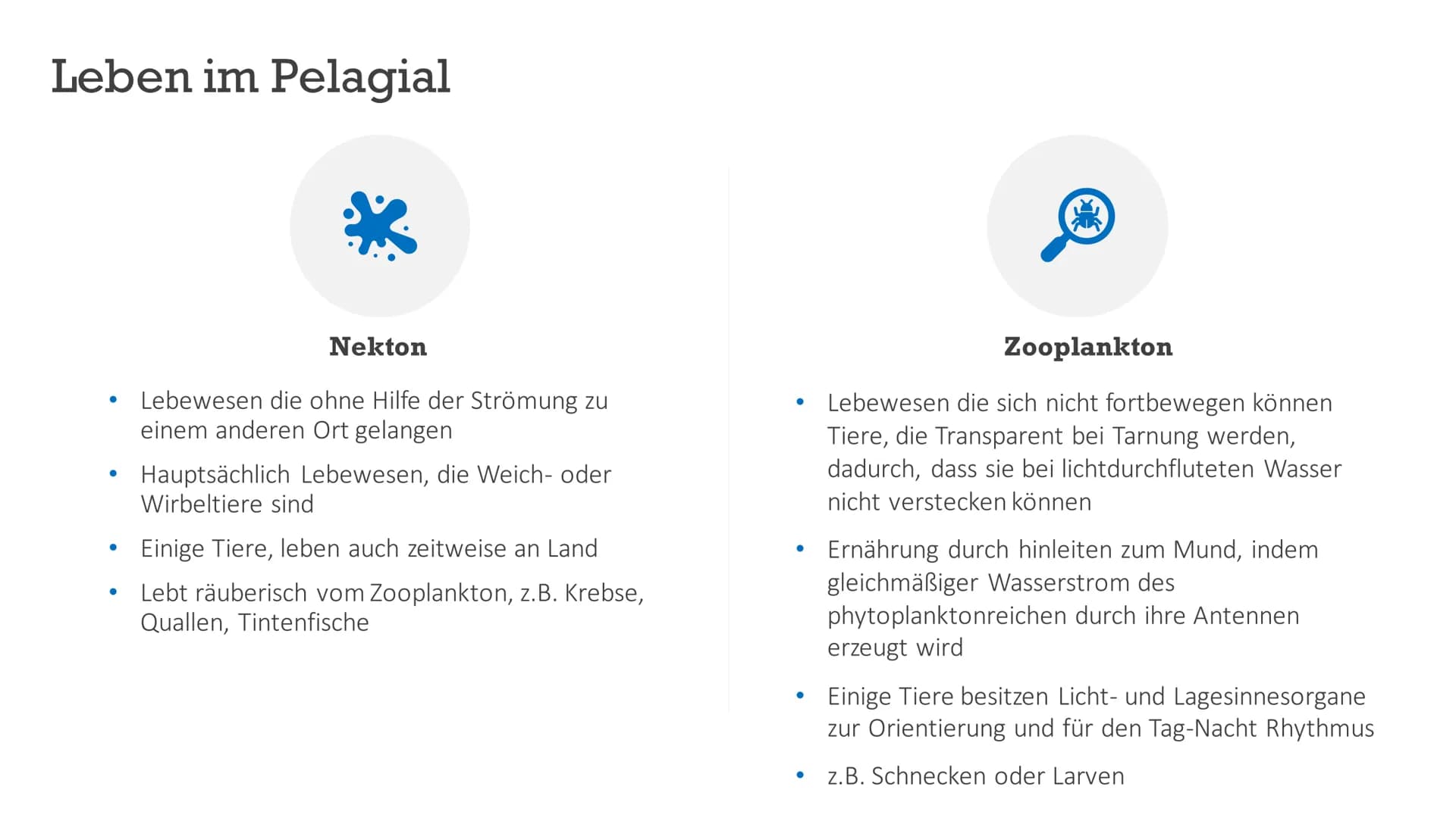 # Ökosystem Meer
Von Indira, Marika, Maria Aufbau und Struktur
Marika # Allgemeines
Meer = weithin ausdehnende, Festland umgebende Wassermas