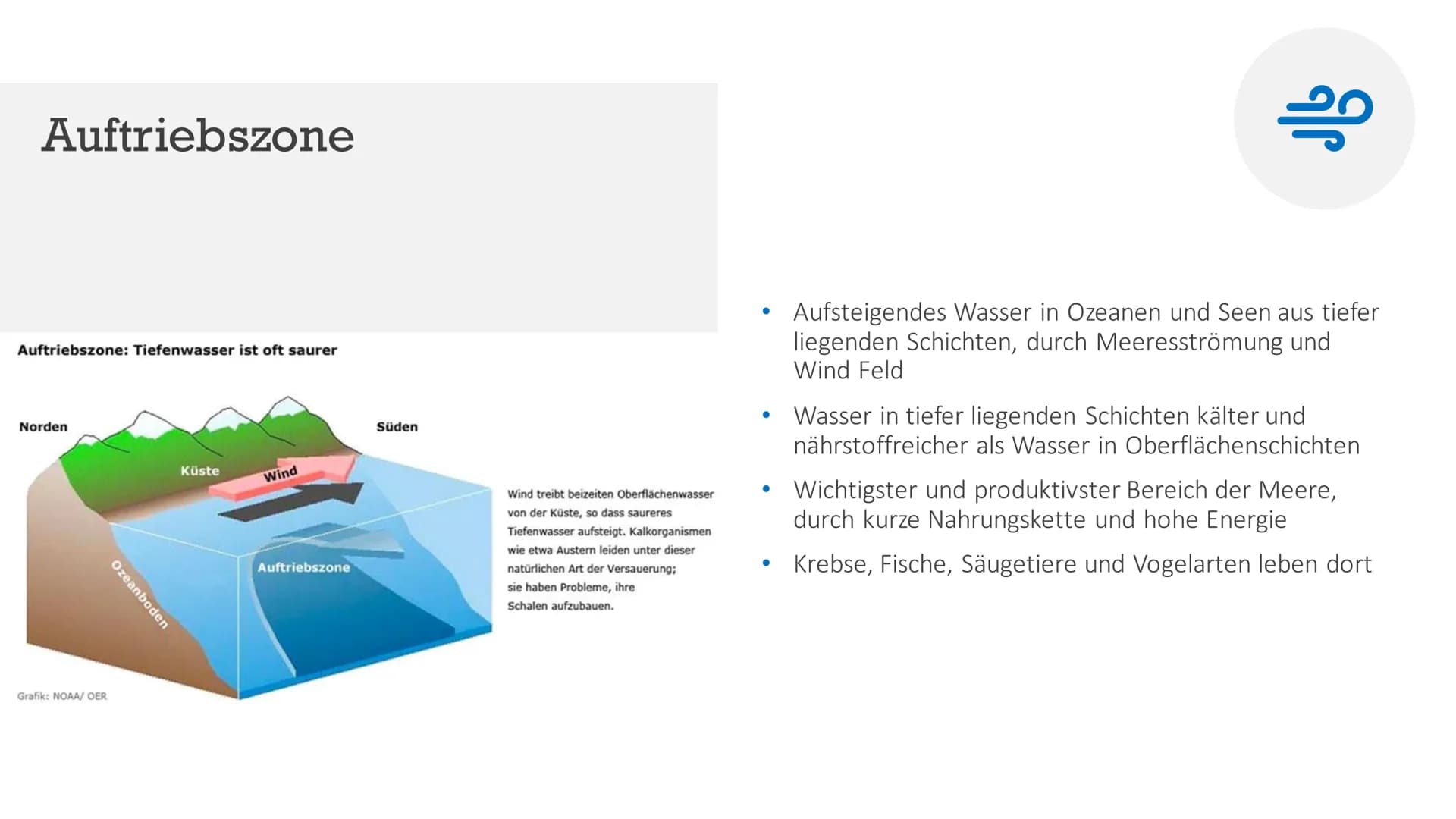 # Ökosystem Meer
Von Indira, Marika, Maria Aufbau und Struktur
Marika # Allgemeines
Meer = weithin ausdehnende, Festland umgebende Wassermas