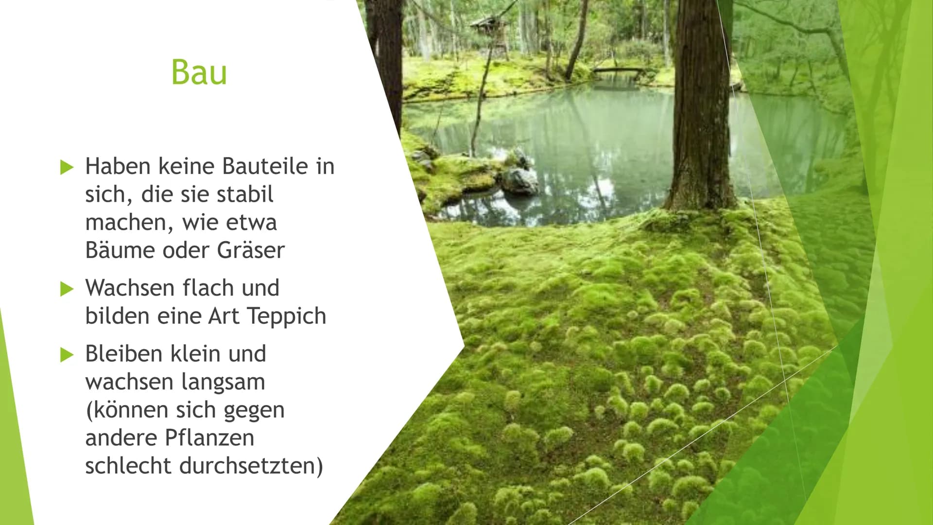 <p>Kostenloser Download von <a href="https://unterricht.schule">unterricht.schule</a></p>
<h2>Aufgabenstellungen:</h2>
<ol>
<li>Fülle die L