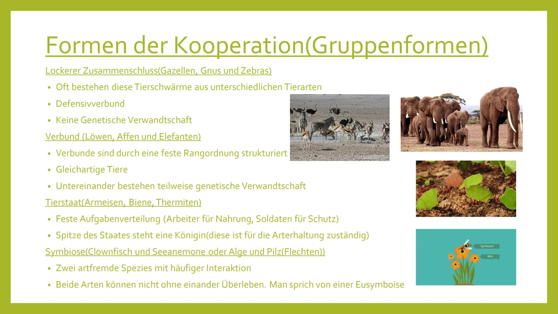 EVOLUTION DER
KOOPERATION
---
Leben in Gruppe # Gliederung
* Formen von Kooperation
* Vor- und Nachteile des Gruppen- bzw. Rudellebens
* Ver