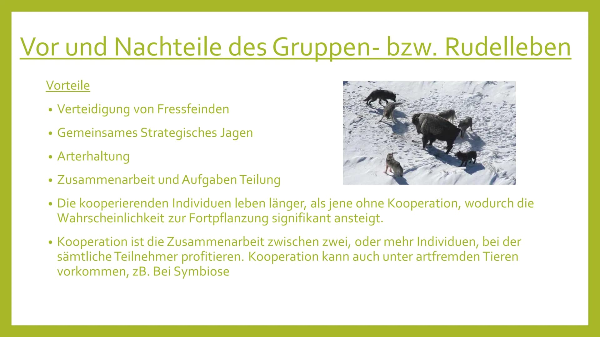 EVOLUTION DER
KOOPERATION
---
Leben in Gruppe # Gliederung
* Formen von Kooperation
* Vor- und Nachteile des Gruppen- bzw. Rudellebens
* Ver