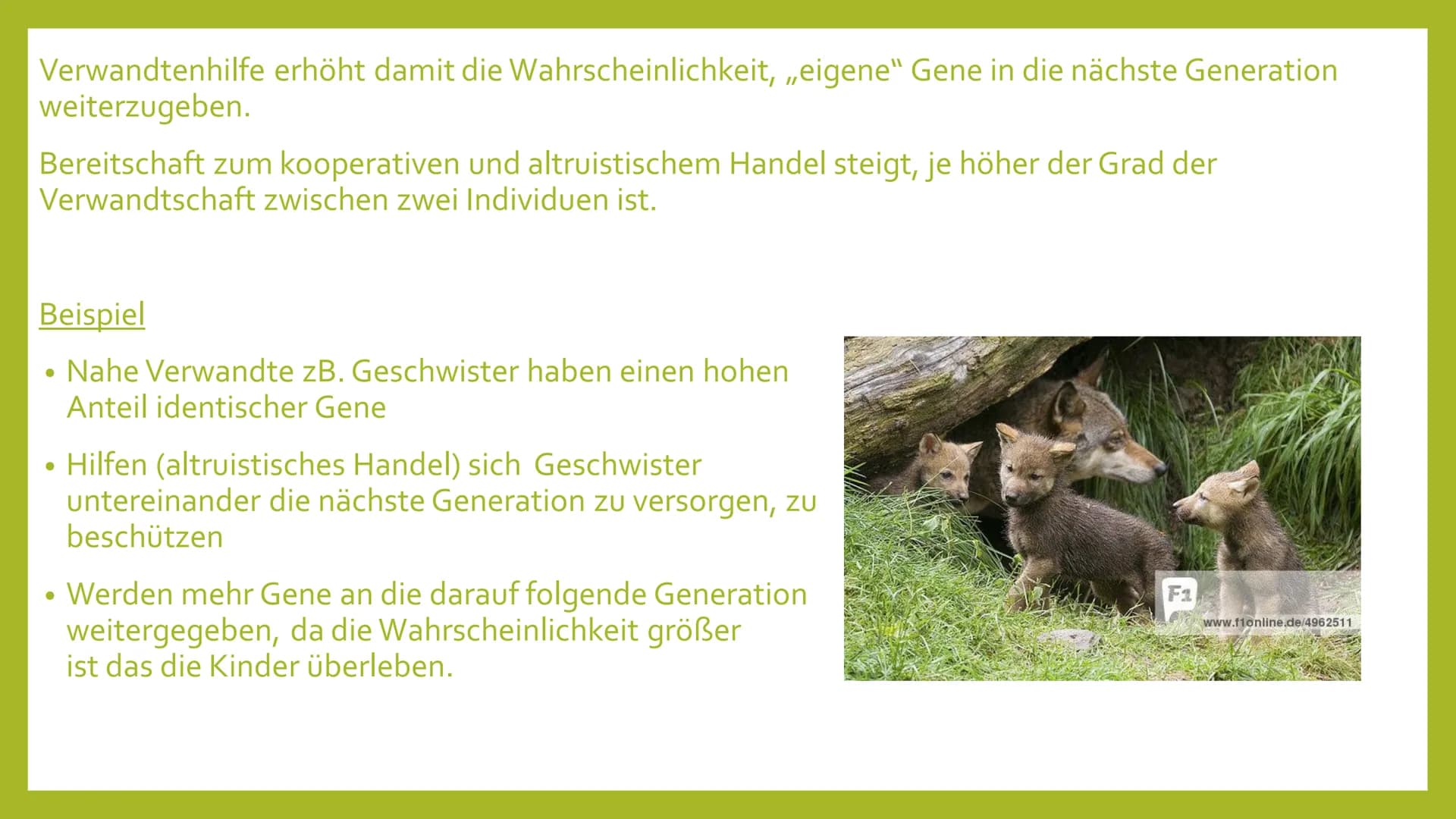 EVOLUTION DER
KOOPERATION
---
Leben in Gruppe # Gliederung
* Formen von Kooperation
* Vor- und Nachteile des Gruppen- bzw. Rudellebens
* Ver