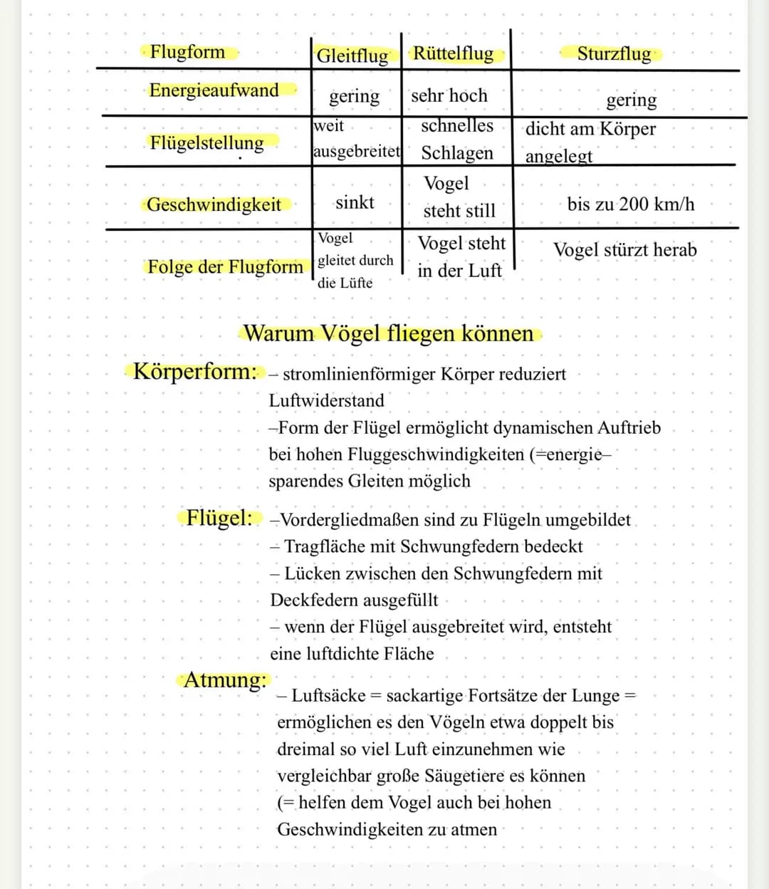 | Flugform | Gleitflug | Rüttelflug | Sturzflug |
|---|---|---|---|
| Energieaufwand | gering | sehr hoch | gering |
| Flügelstellung | weit