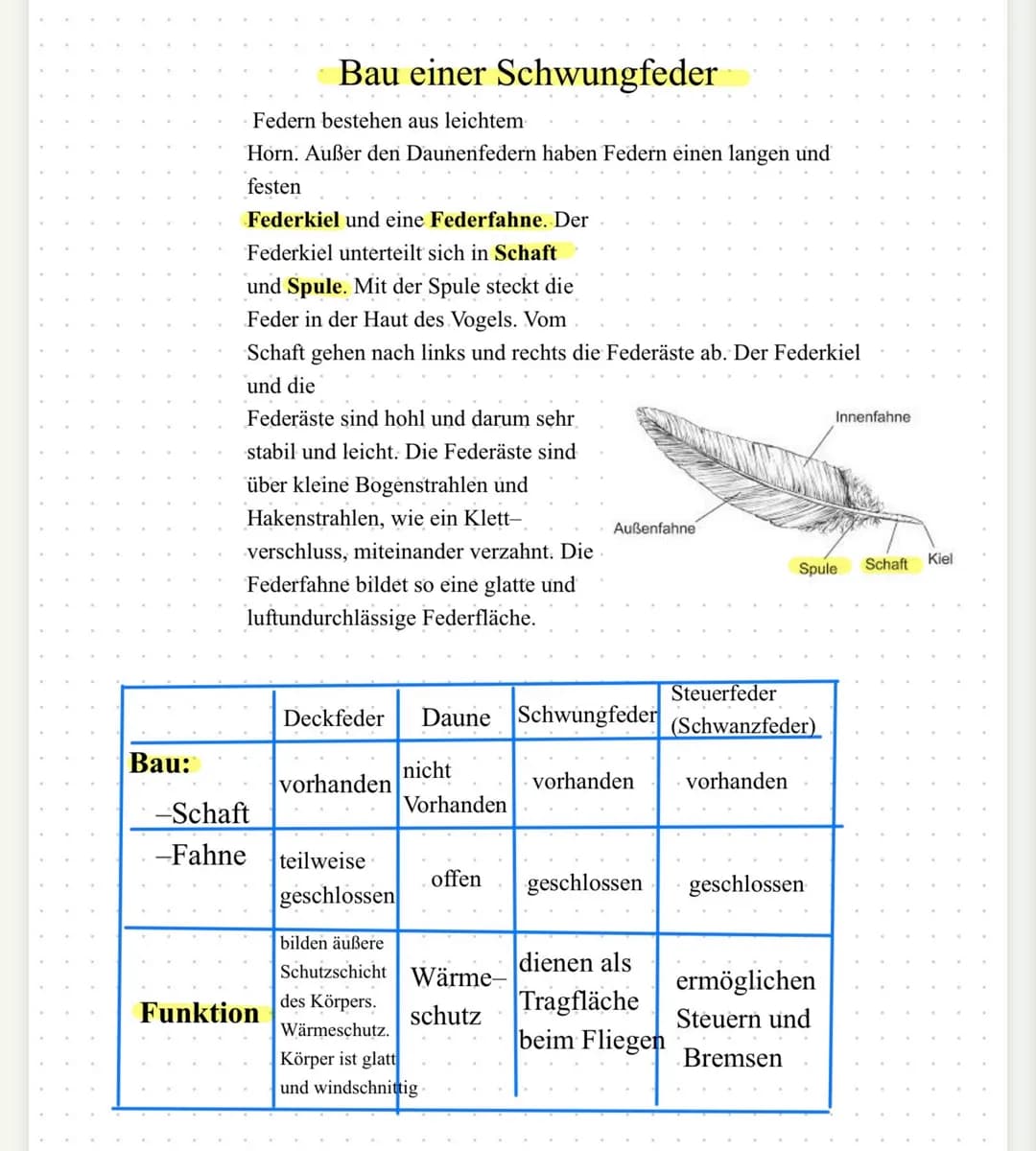 | Flugform | Gleitflug | Rüttelflug | Sturzflug |
|---|---|---|---|
| Energieaufwand | gering | sehr hoch | gering |
| Flügelstellung | weit
