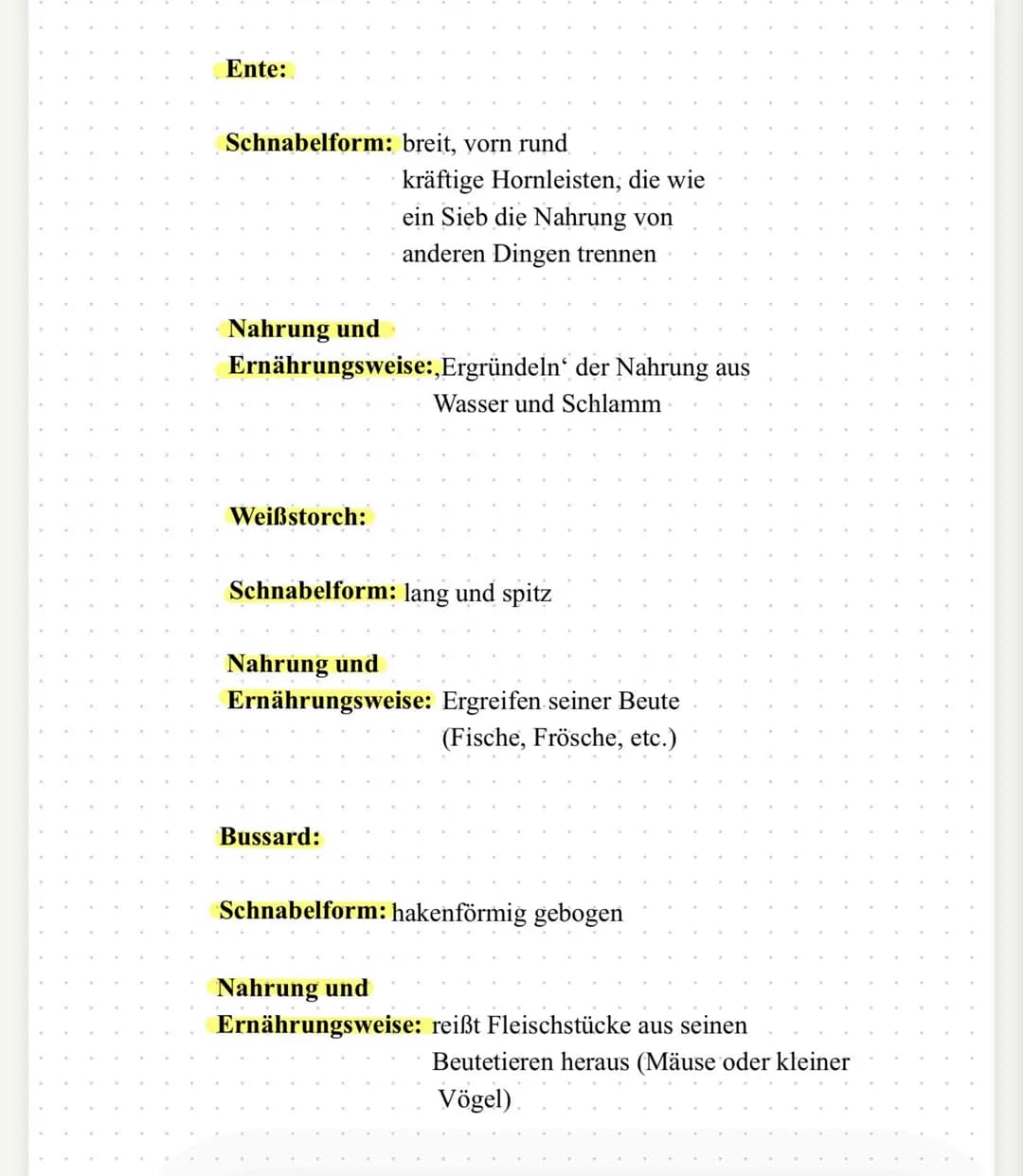 | Flugform | Gleitflug | Rüttelflug | Sturzflug |
|---|---|---|---|
| Energieaufwand | gering | sehr hoch | gering |
| Flügelstellung | weit
