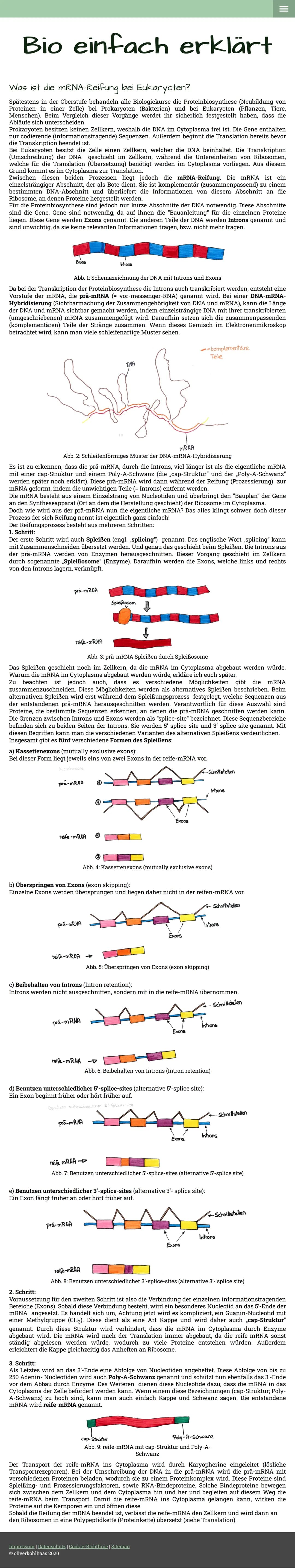 ## PROTEINBIOSYNTHESE/GENEXPRESSION
bei EUKARYOTEN
27.09.21
| Prozess (Name) | Prozessbeschreibung | Funktion | Katalytische Einheit | Ort