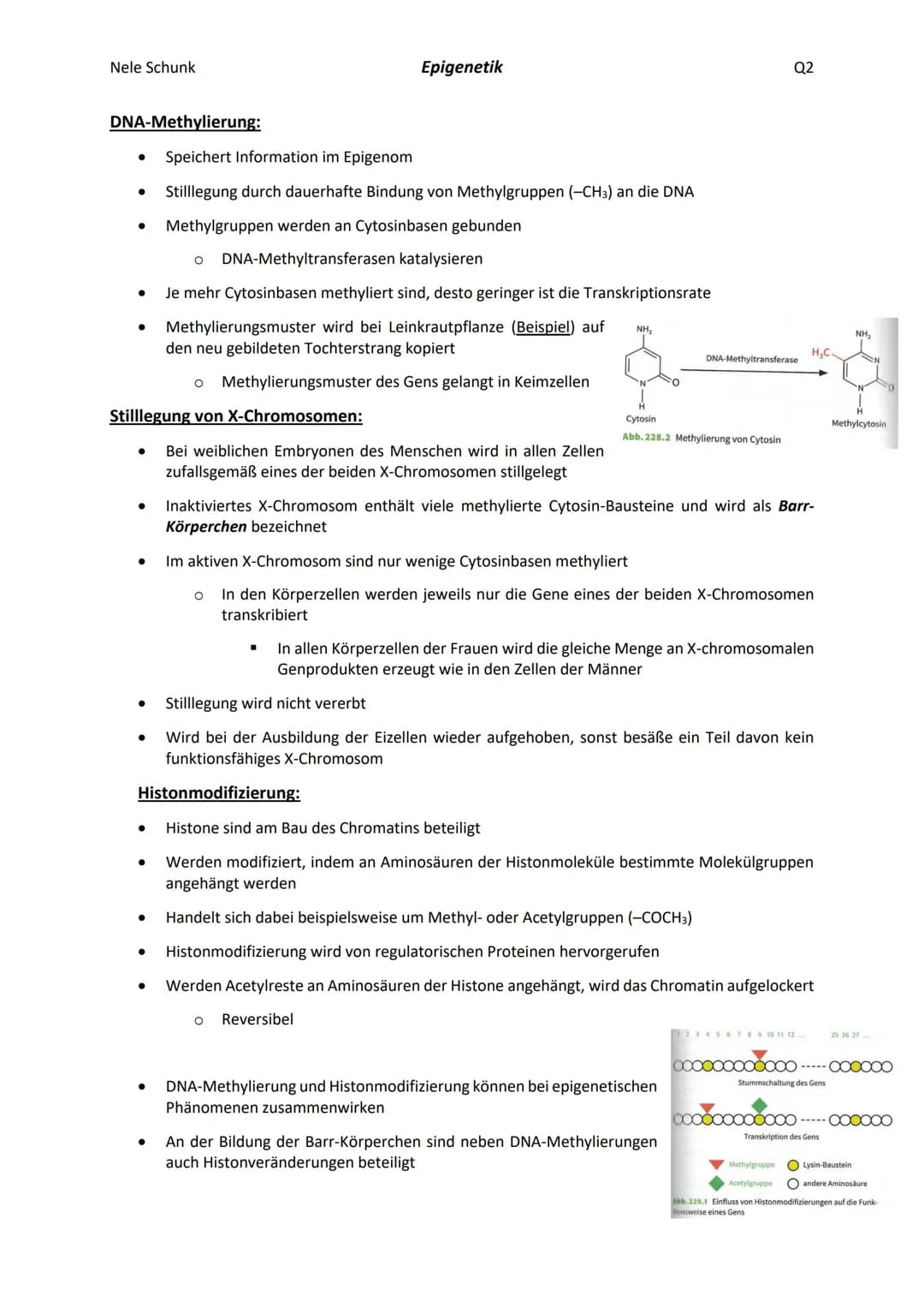 Nele Schunk
Epigenetik
Q2
## Definition:
- Teilgebiet der Genetik, das sich mit der Veränderung von Genfunktionen beschäftigt, die nicht du
