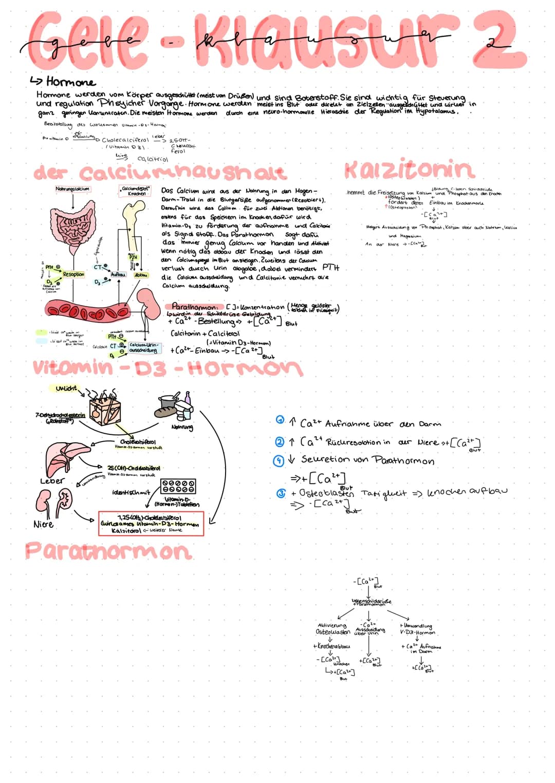 # Gele-Klausur 2
## L↳ Gelenk - Knochen krankheiten
### OSTEOPOROSE
Störung Im Knochenstoffwechsel -> machen ihn dünner und Porös -> anfäll