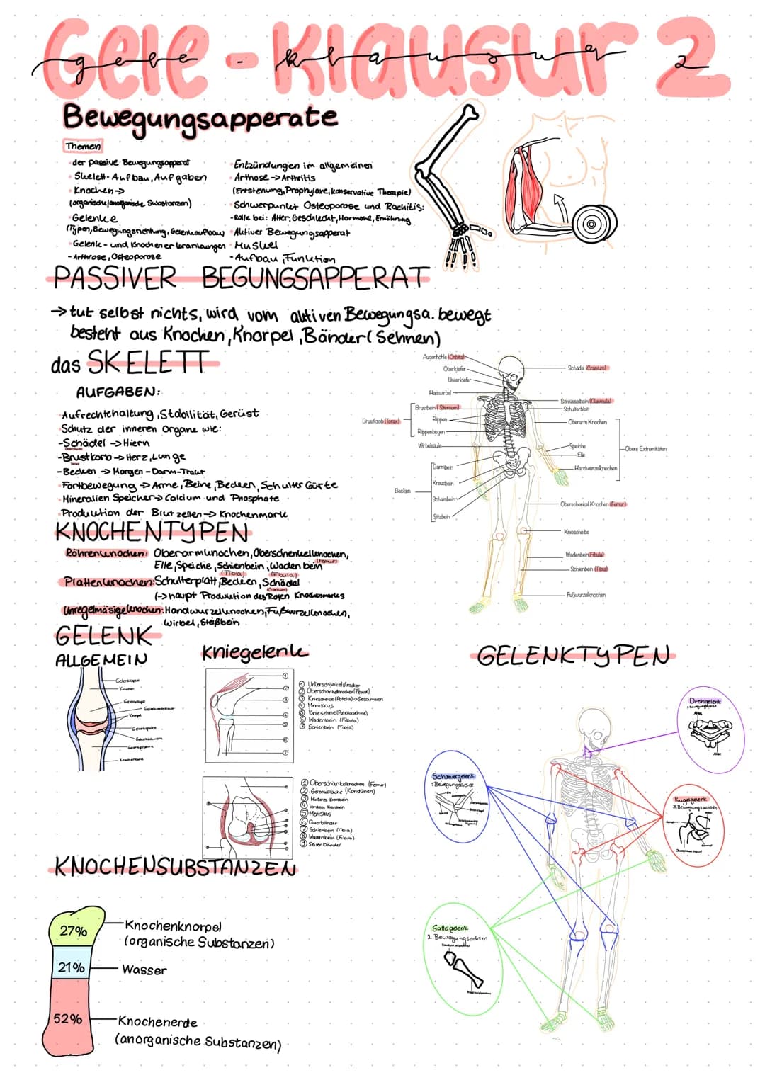 # Gele-Klausur 2
## L↳ Gelenk - Knochen krankheiten
### OSTEOPOROSE
Störung Im Knochenstoffwechsel -> machen ihn dünner und Porös -> anfäll