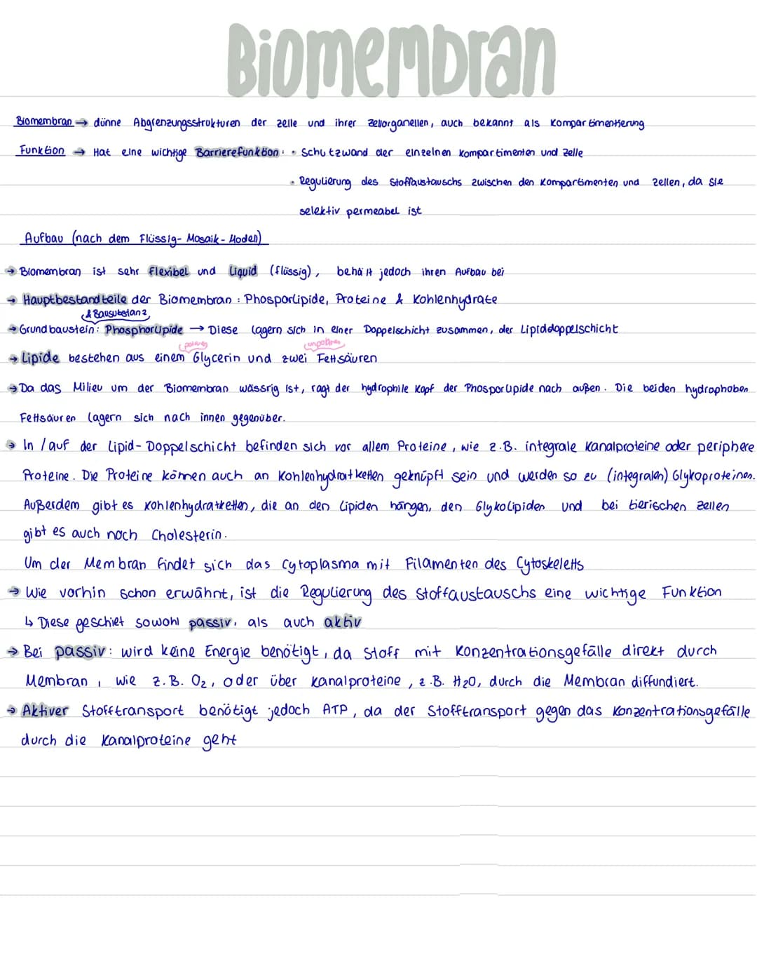 # Biomembran
integrales Protein
integrales Glykoprotein
Kohlenhydrate
b Glykolipid (da an
Phosphorlipiden hängt)
hydrophile
Köpfe
Lipid-Dopp
