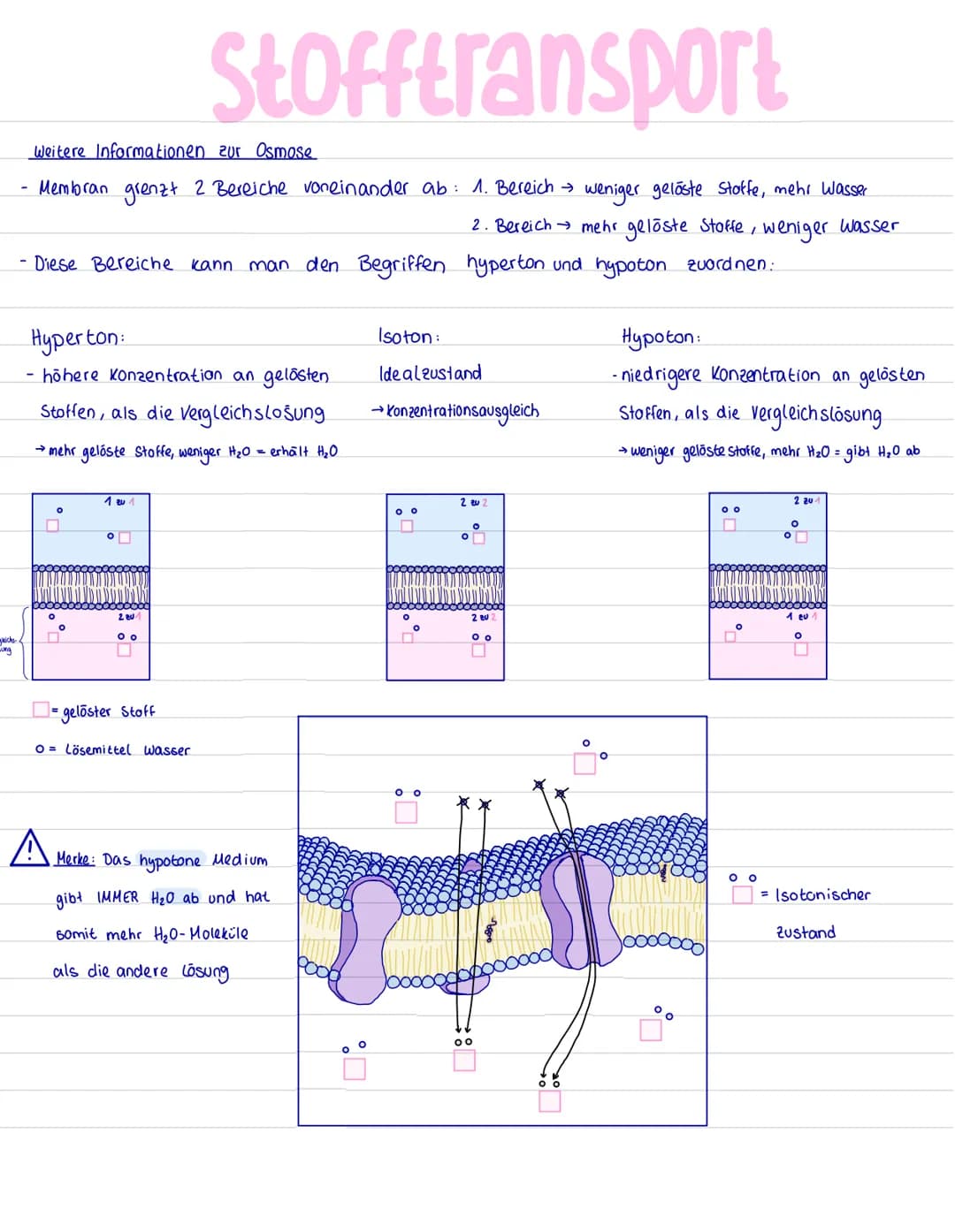# Biomembran
integrales Protein
integrales Glykoprotein
Kohlenhydrate
b Glykolipid (da an
Phosphorlipiden hängt)
hydrophile
Köpfe
Lipid-Dopp