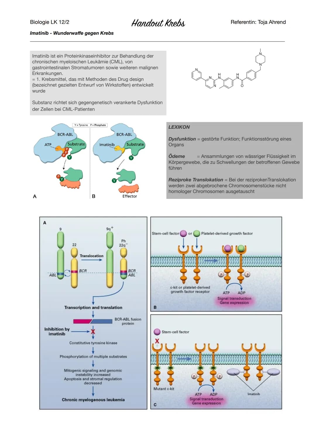 # Biologie LK 12/2
# Handout Krebs
## Definitionen
Referentin: Toja Ahrend
Krebs bezeichnet in der Medizin die unkontrollierte Vermehrung u