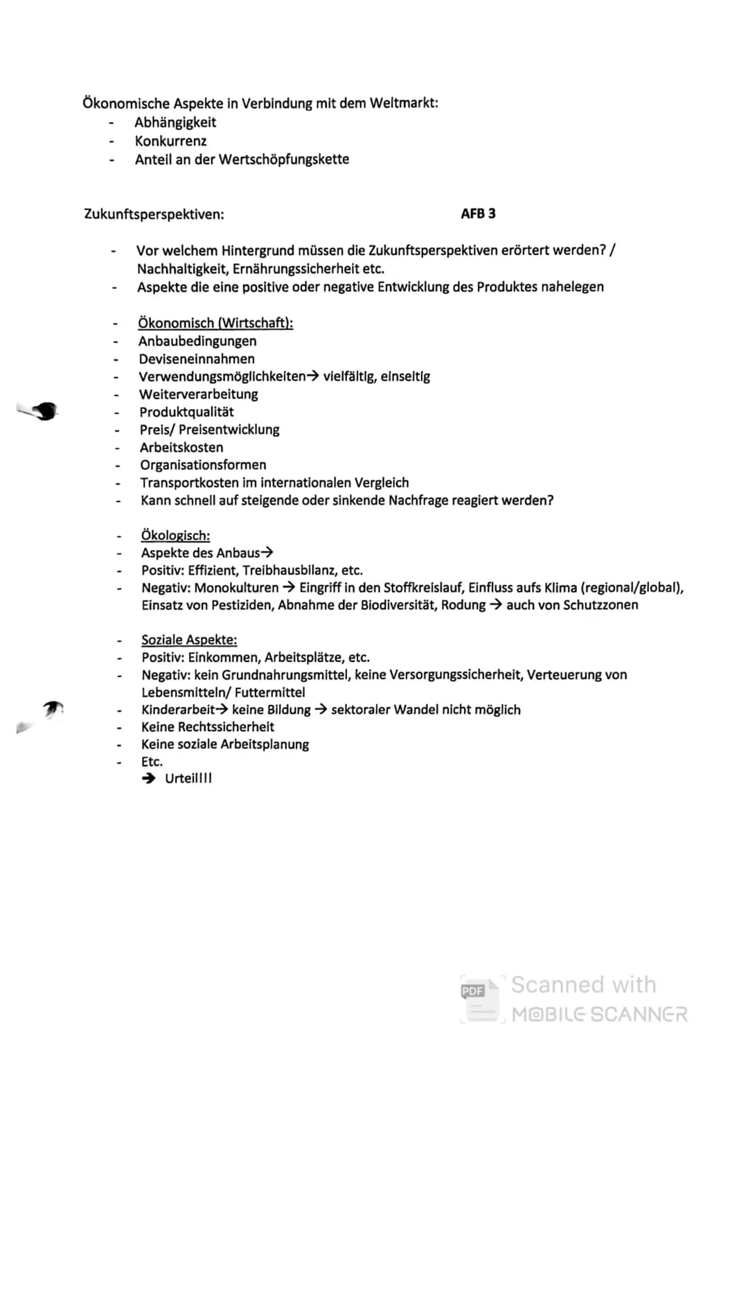 Ökonomische Aspekte in Verbindung mit dem Weltmarkt:
- Abhängigkeit
- Konkurrenz
- Anteil an der Wertschöpfungskette
Zukunftsperspektiven: