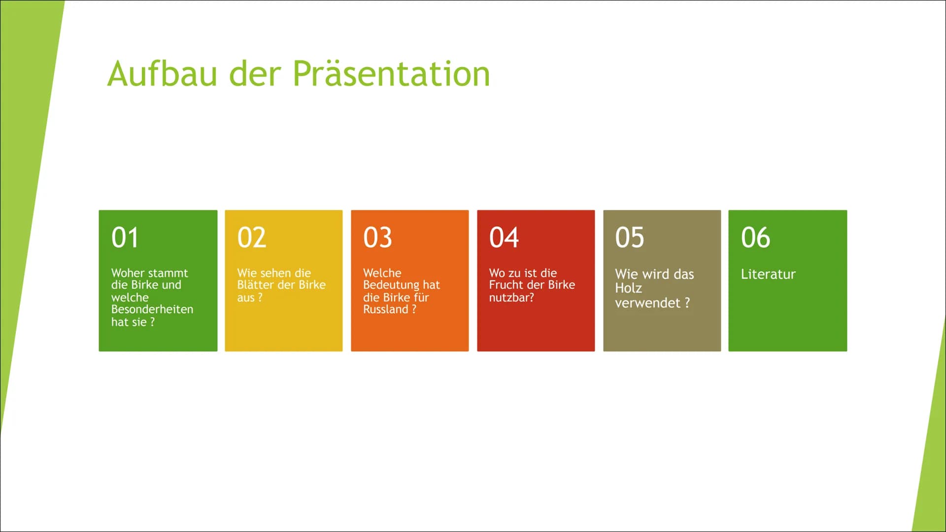 # Zusammenfassung der Birke
Die Präsentation des
Themas „Die Birke“, handelt
von z.B. den Besonderheiten,
der Holzverwendung, etc. der
Birke