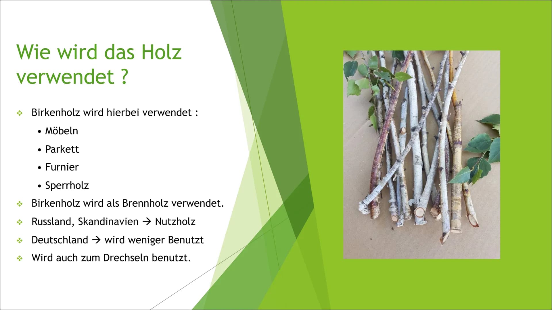 # Zusammenfassung der Birke
Die Präsentation des
Themas „Die Birke“, handelt
von z.B. den Besonderheiten,
der Holzverwendung, etc. der
Birke
