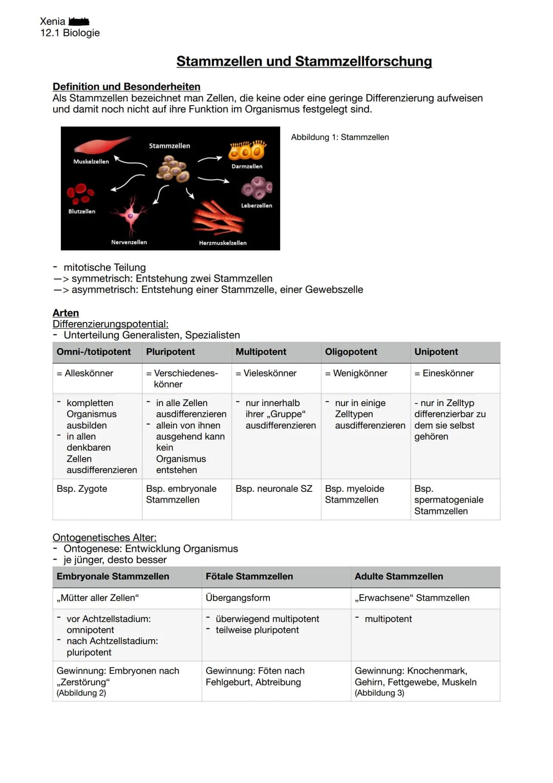 Xenia
12.1 Biologie
# Stammzellen und Stammzellforschung
## Definition und Besonderheiten
Als Stammzellen bezeichnet man Zellen, die keine o