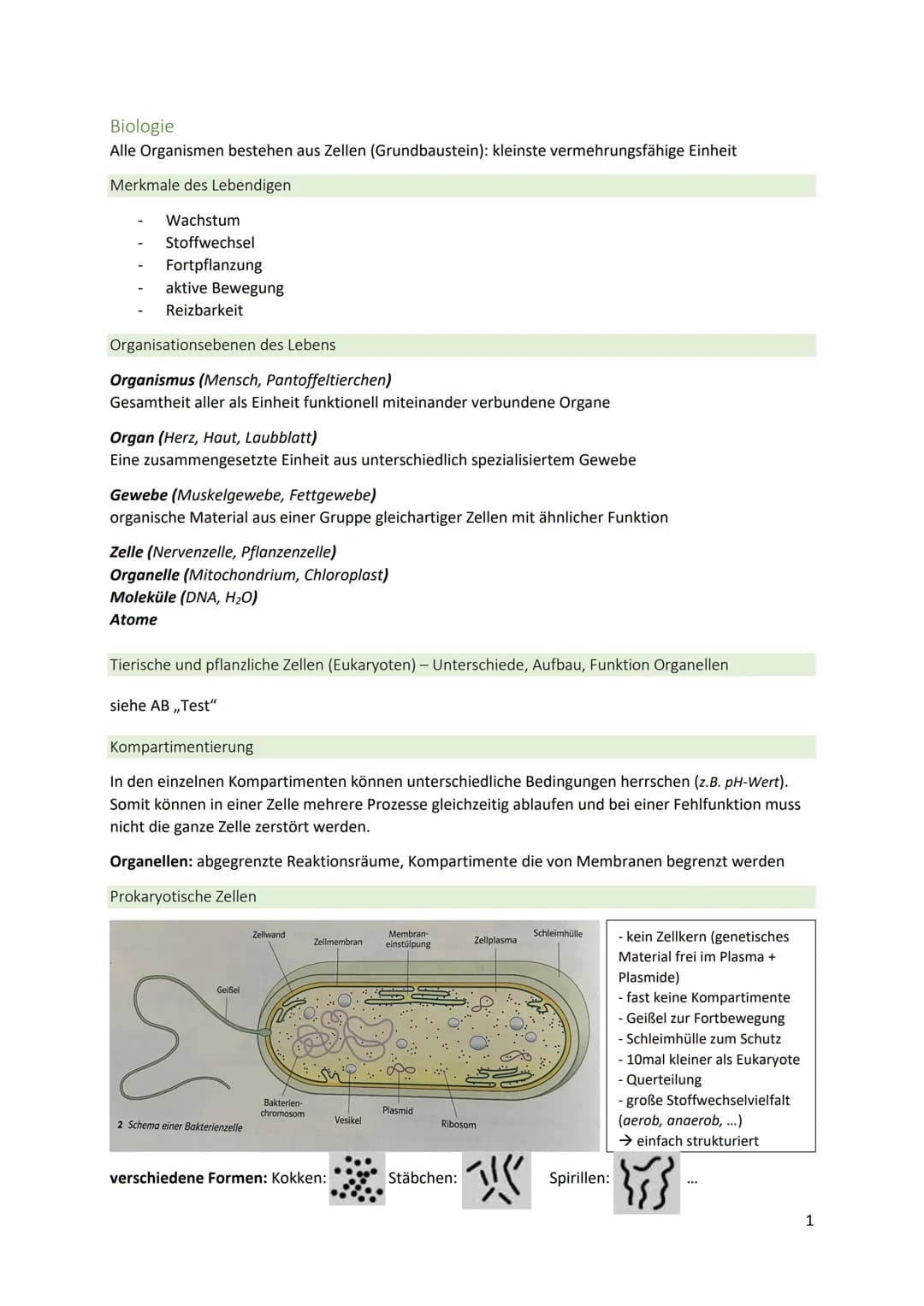 # Biologie
Alle Organismen bestehen aus Zellen (Grundbaustein): kleinste vermehrungsfähige Einheit
## Merkmale des Lebendigen
- Wachstum
-