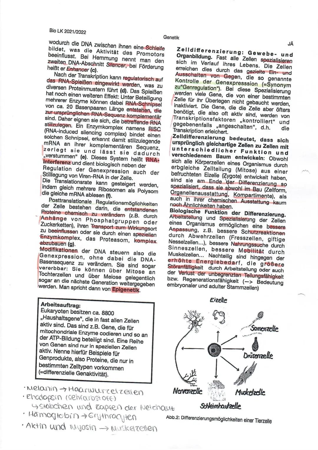 BRUNNEN
# genetischer Code
## Heutiger Genbegriff:
Gene sind Abschnitte der
chromosomen, die die
Information für die
synthese eines RNA-
Mol