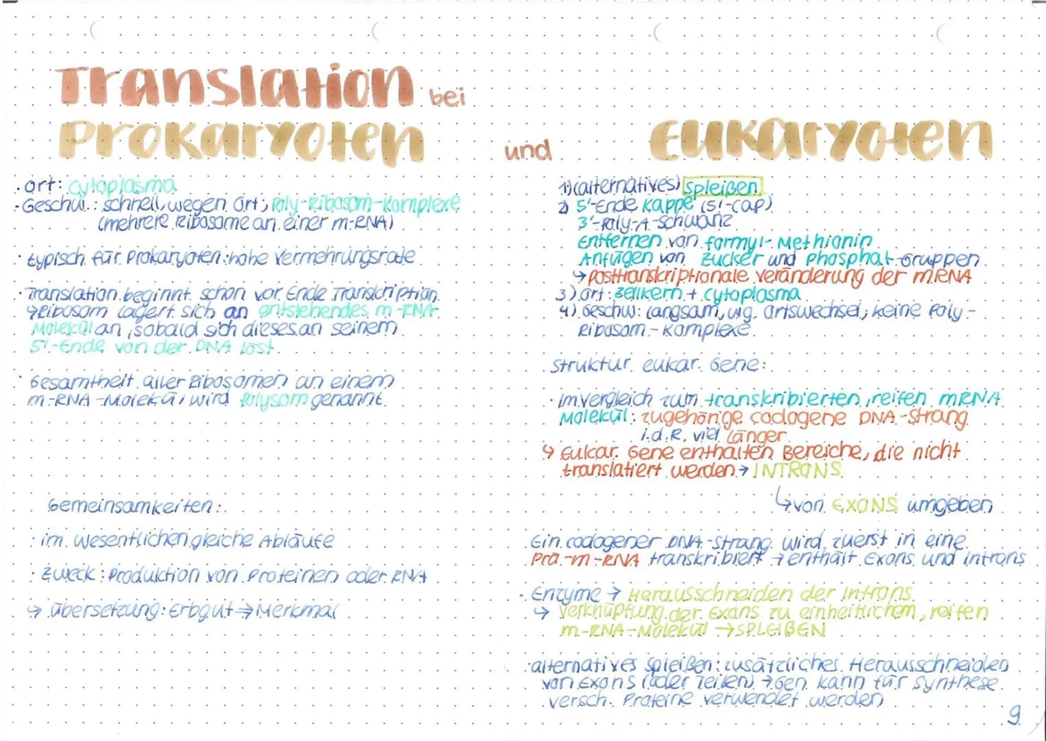 BRUNNEN
# genetischer Code
## Heutiger Genbegriff:
Gene sind Abschnitte der
chromosomen, die die
Information für die
synthese eines RNA-
Mol