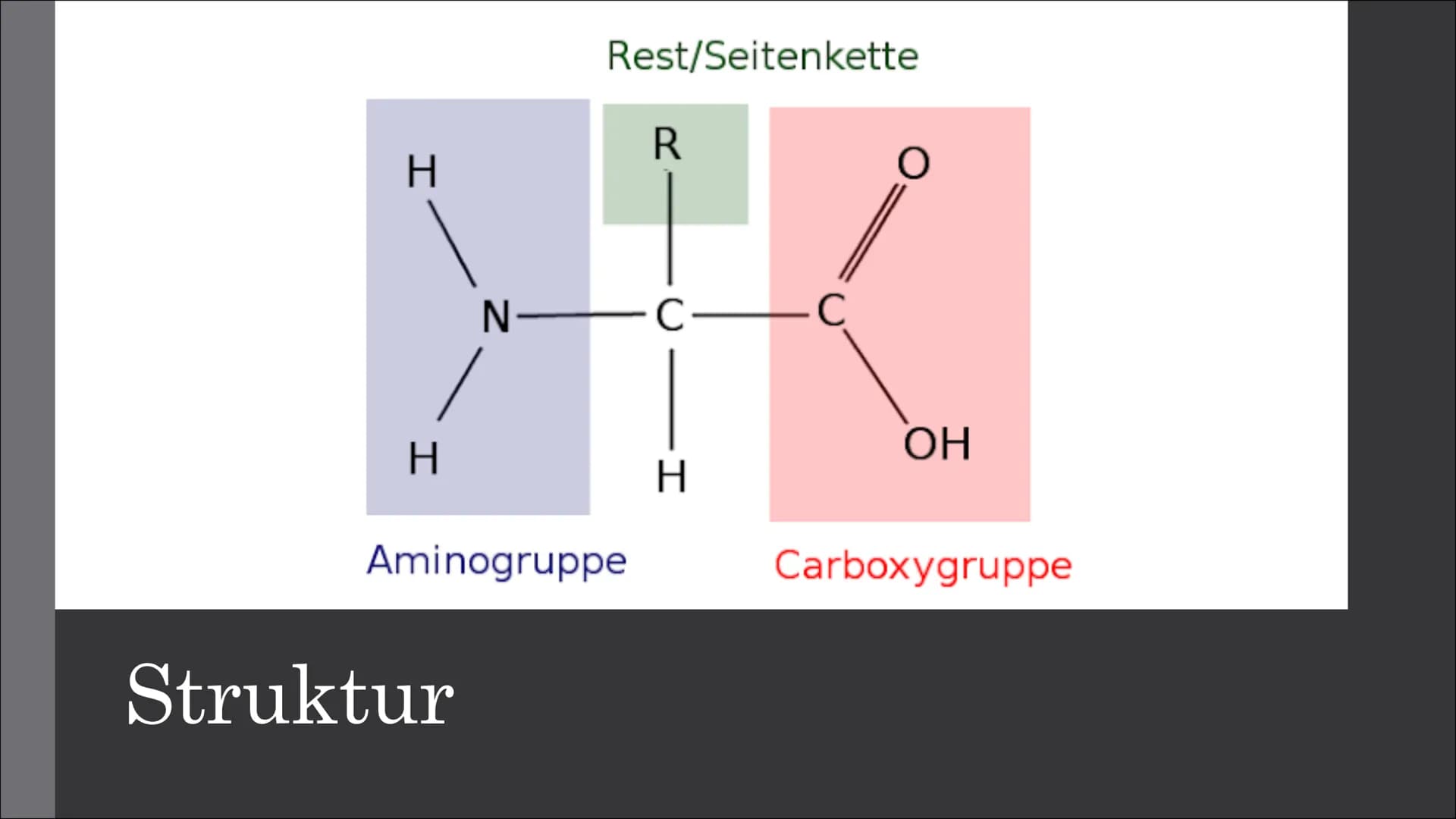 # Aminosäuren
## Struktur
- Hat mindestens 2 C-Atome haben
- Zählen beginnt immer beim Carboxy-C-Atom
- Klassen je nach der relativen Stell