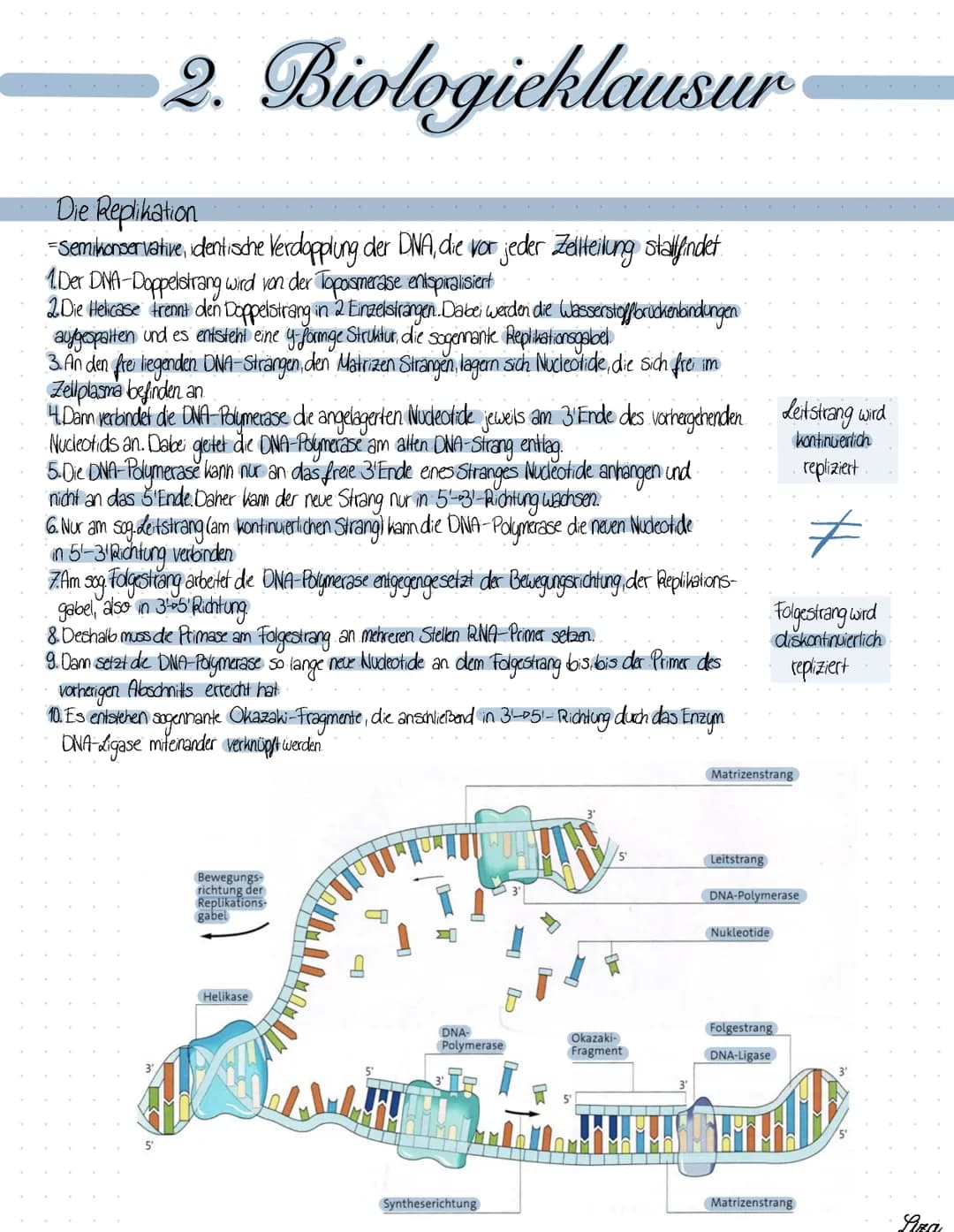 # 2. Biologieklausur
## Die Replikation
= Semikonservative, identische Verdopplung der DNA, die vor jeder Zellteilung stallfindet.
1. Der